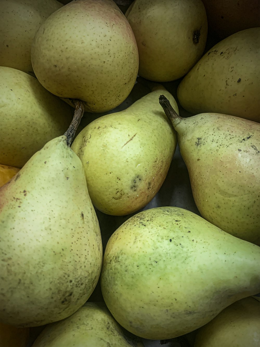 a pile of pears sitting next to each other