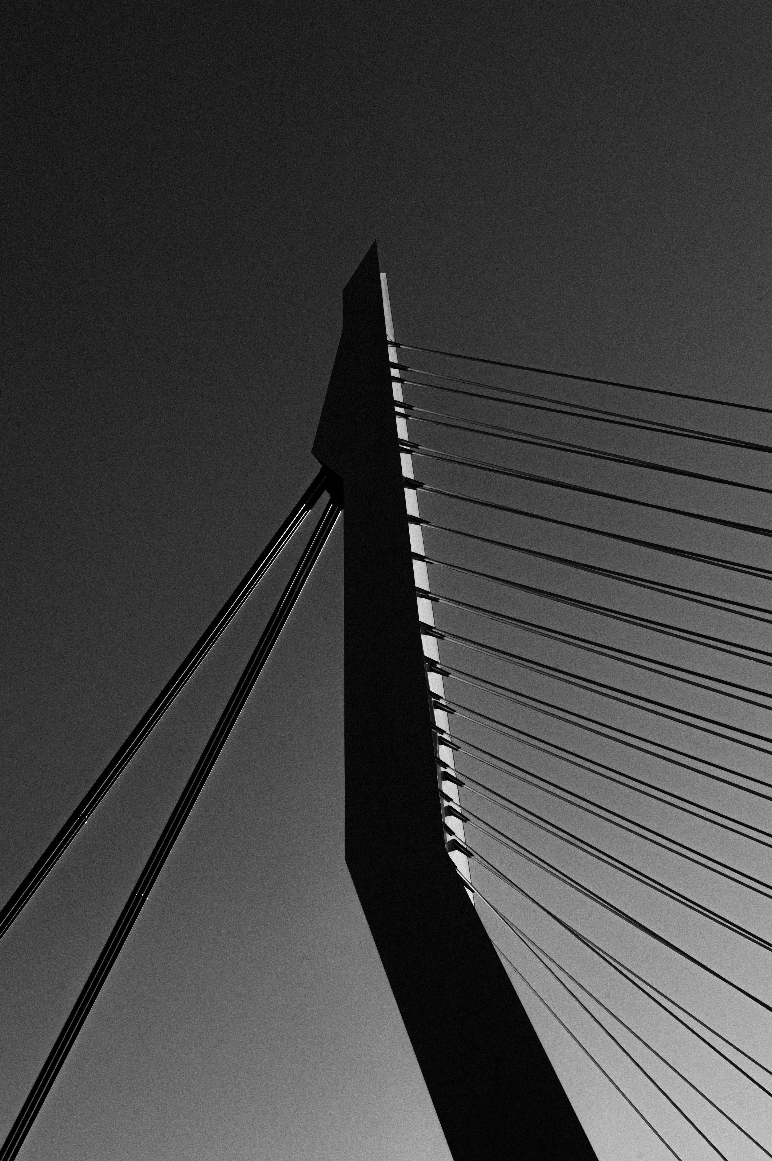 Photo by danielstiel