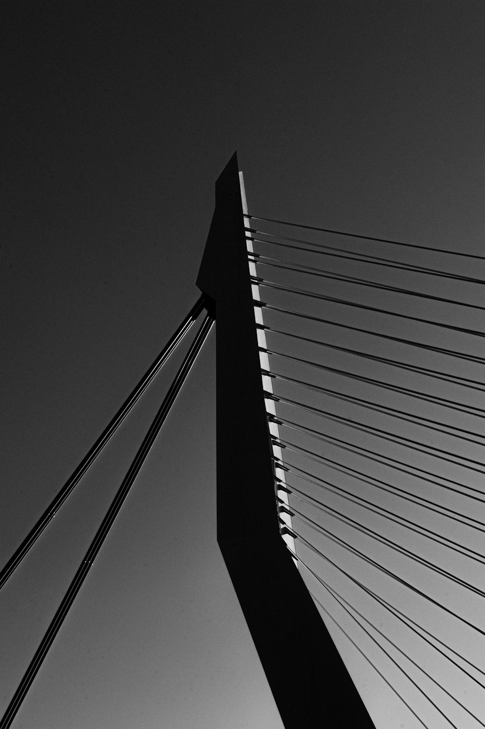 a black and white photo of the top of a bridge