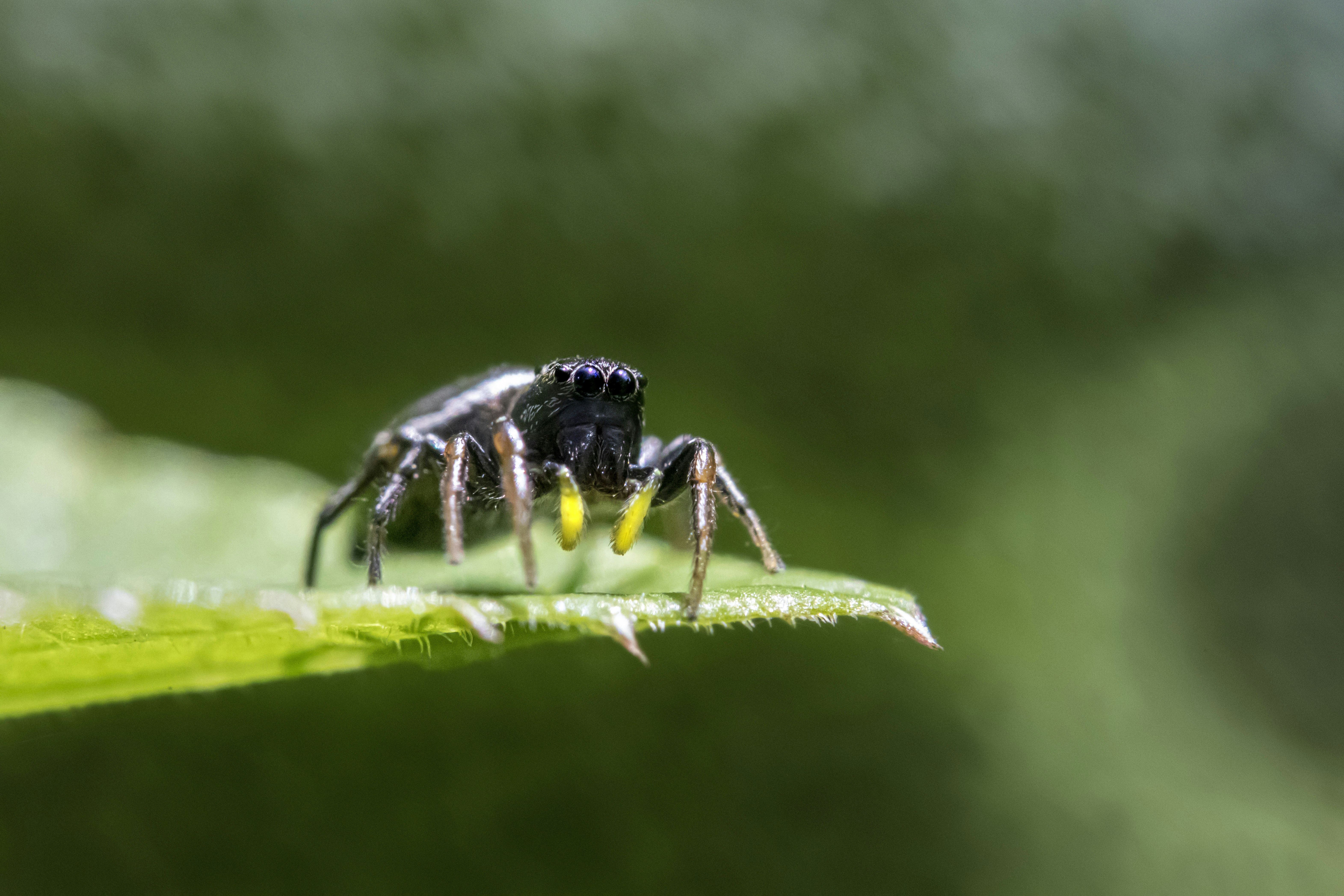 Photo by erik_karits