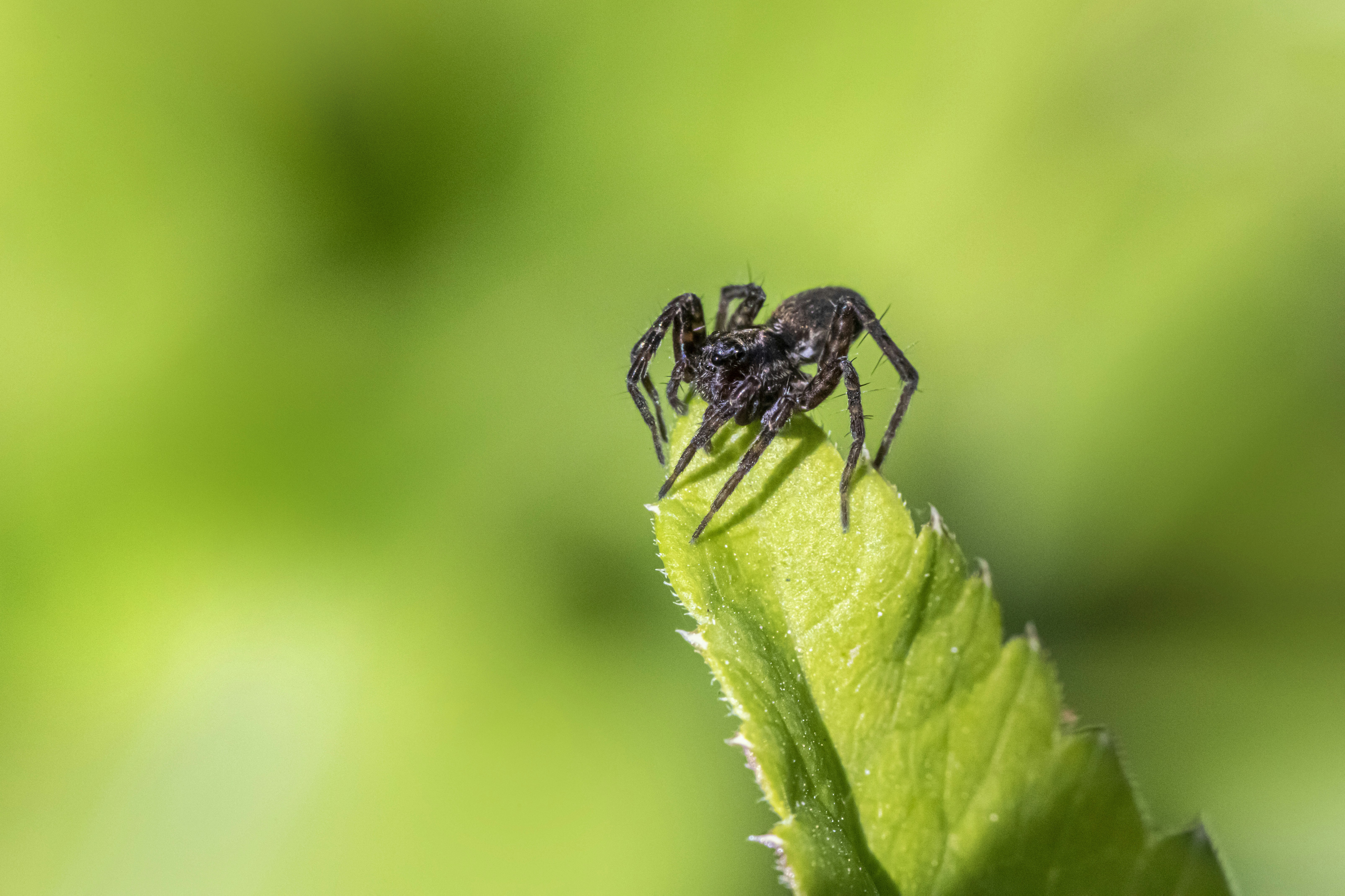 Photo by erik_karits