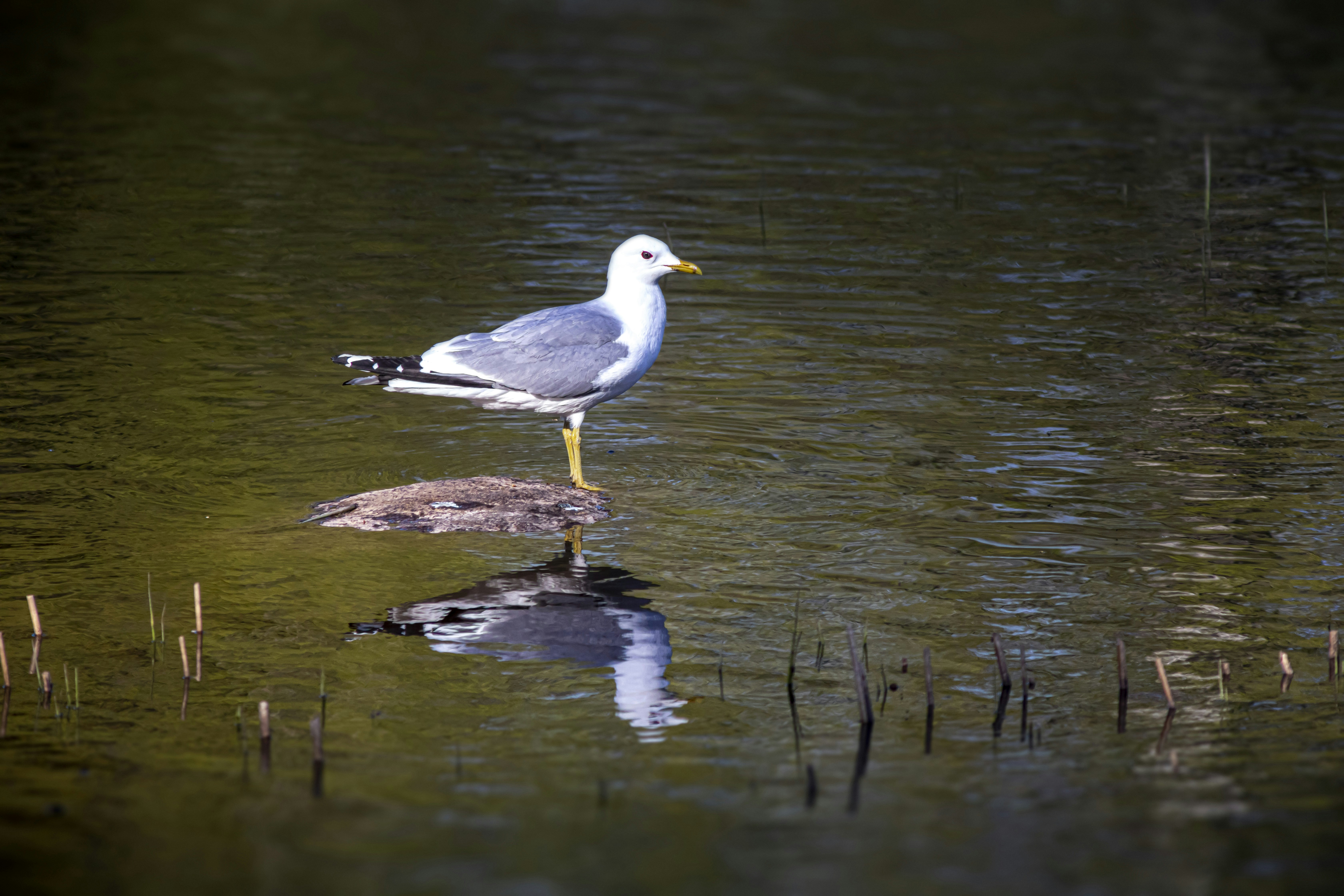 Photo by erik_karits