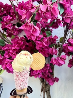 A single scoop of vanilla ice cream topped with white chocolate shavings is presented in a cone covered with pink and white sprinkles. Beside the ice cream is a round waffle biscuit. The background consists of vibrant pink bougainvillea flowers against a white wall.