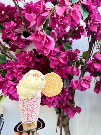 A single scoop of vanilla ice cream topped with white chocolate shavings is presented in a cone covered with pink and white sprinkles. Beside the ice cream is a round waffle biscuit. The background consists of vibrant pink bougainvillea flowers against a white wall.