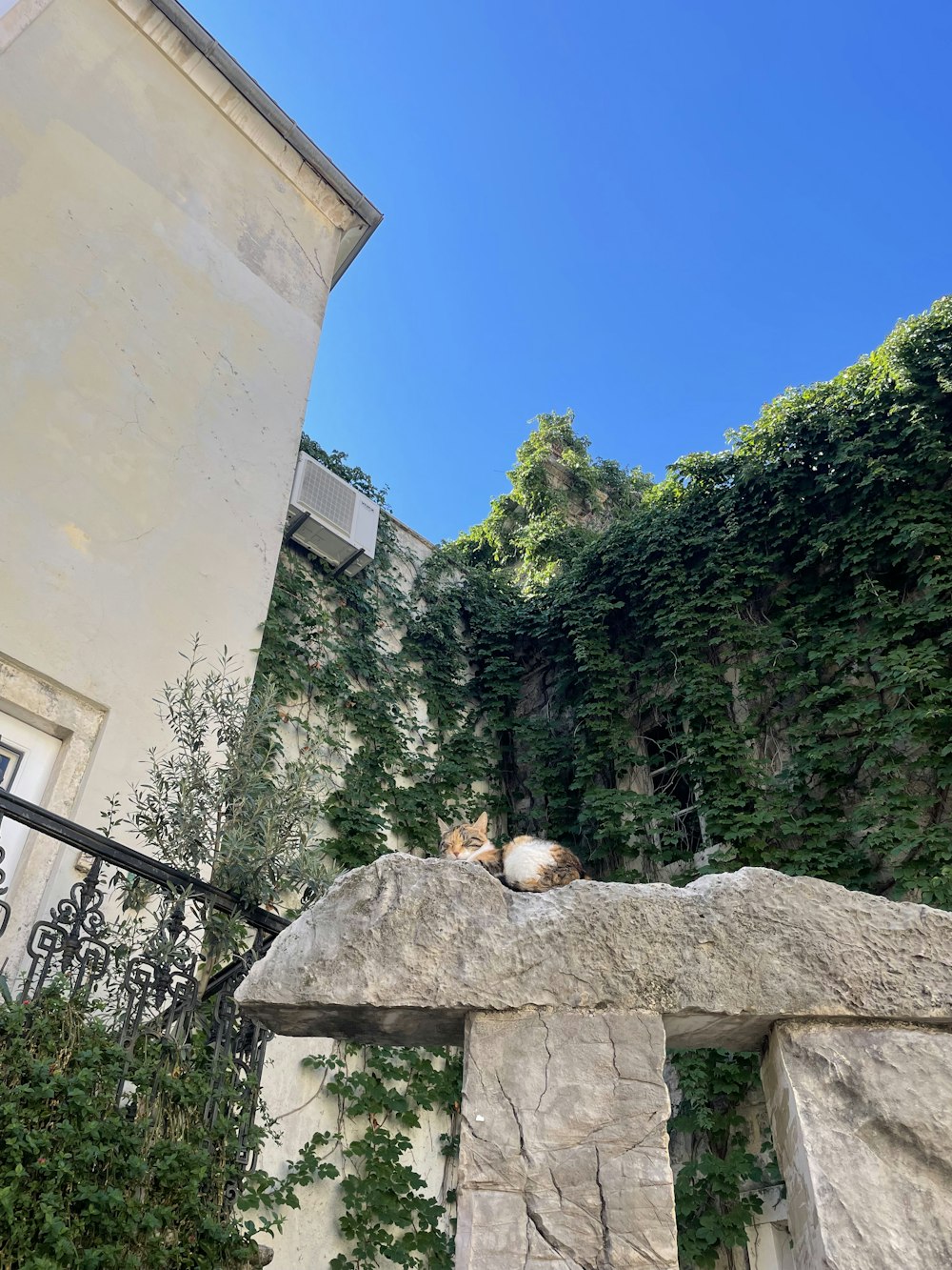 a cat sleeping on a stone bench in front of a building