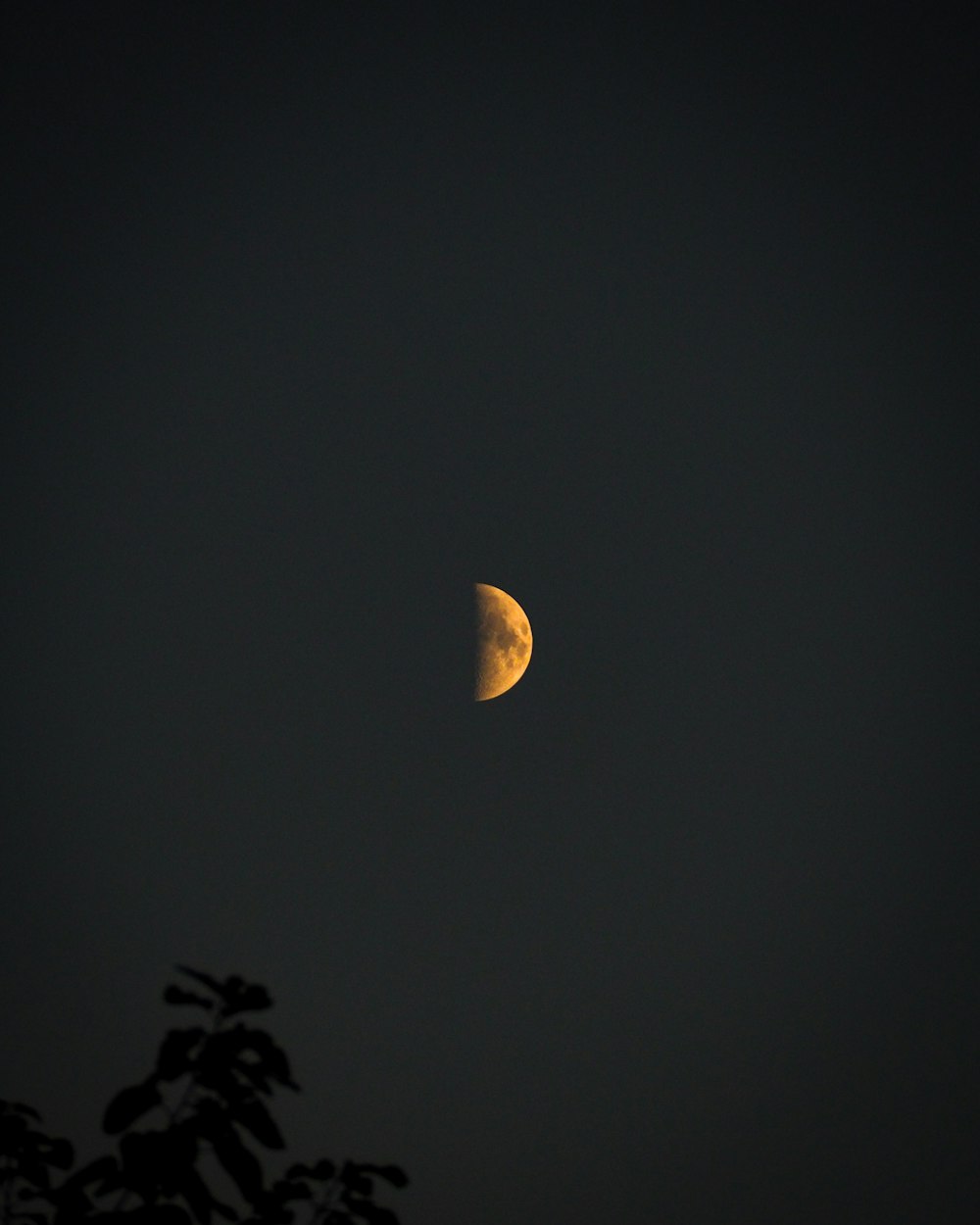 a half moon is seen in the night sky
