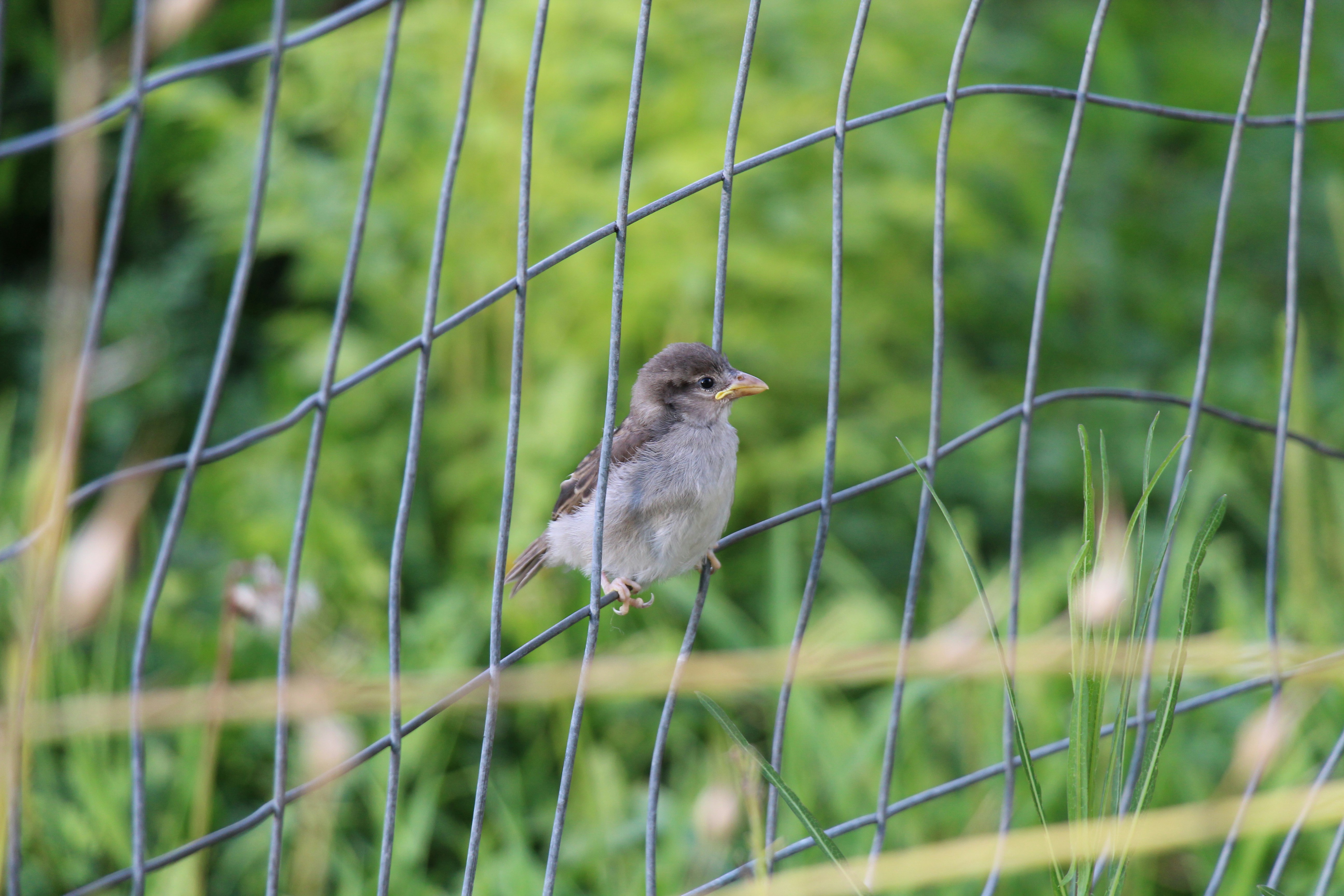 Photo by leafdewlens