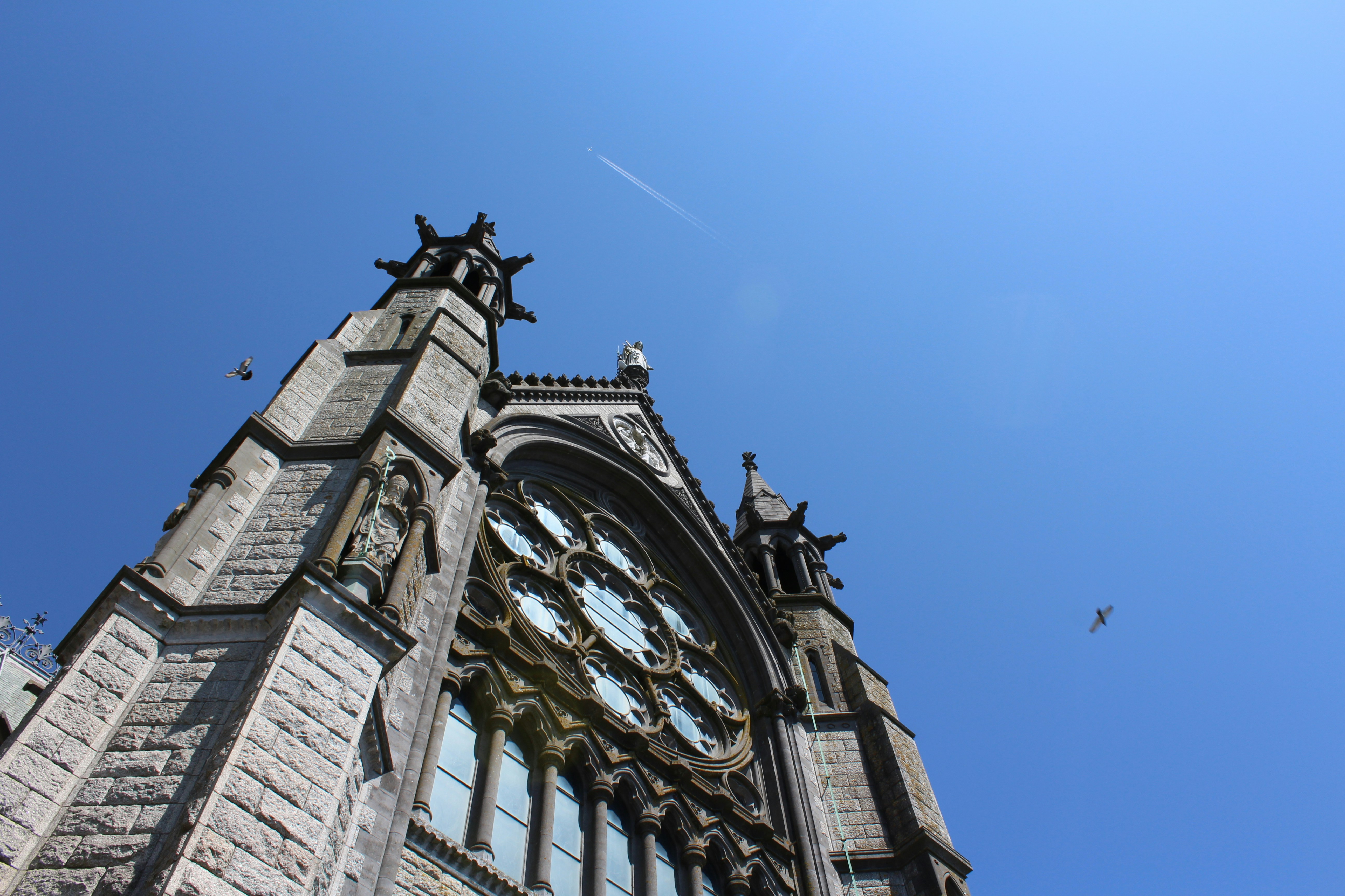 Photo by anna_zhynhel