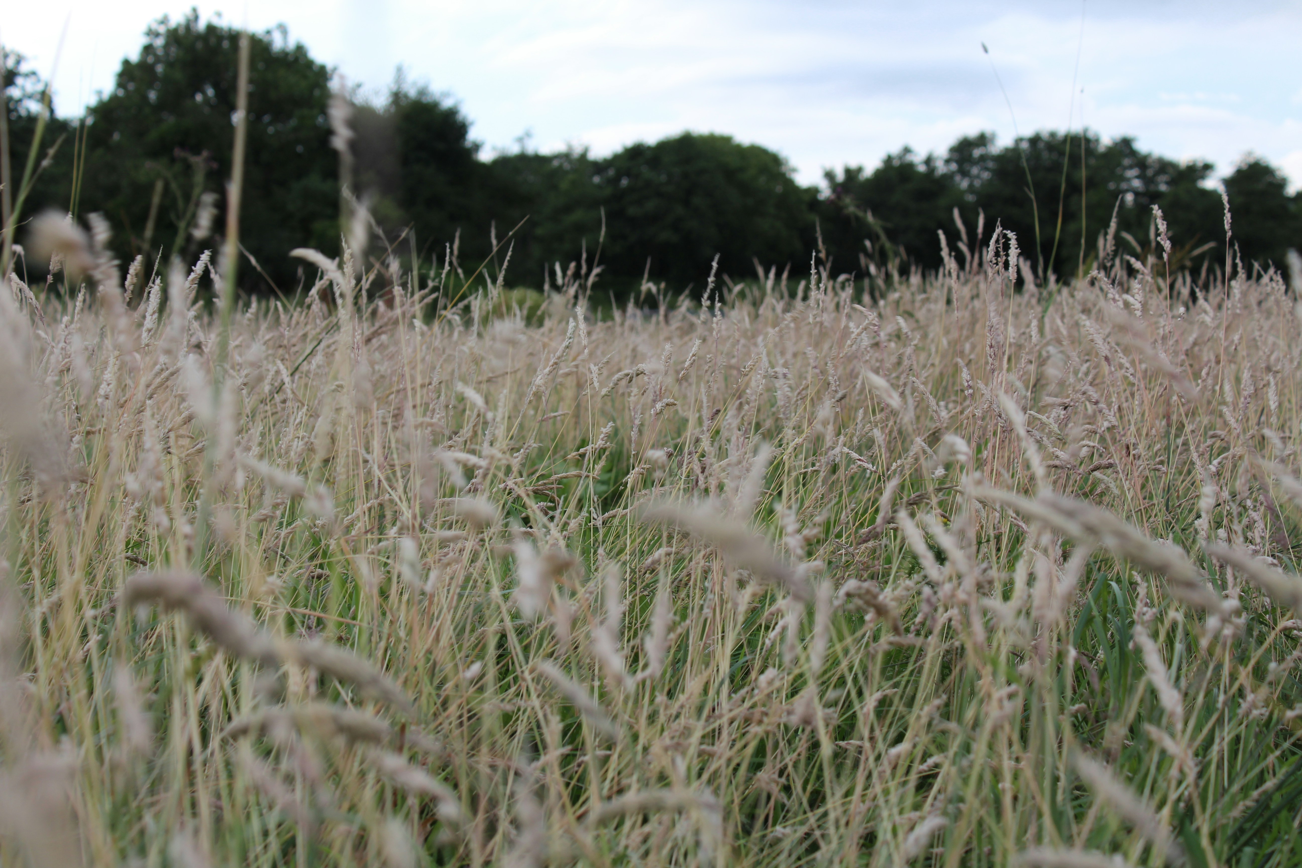 Photo by anna_zhynhel