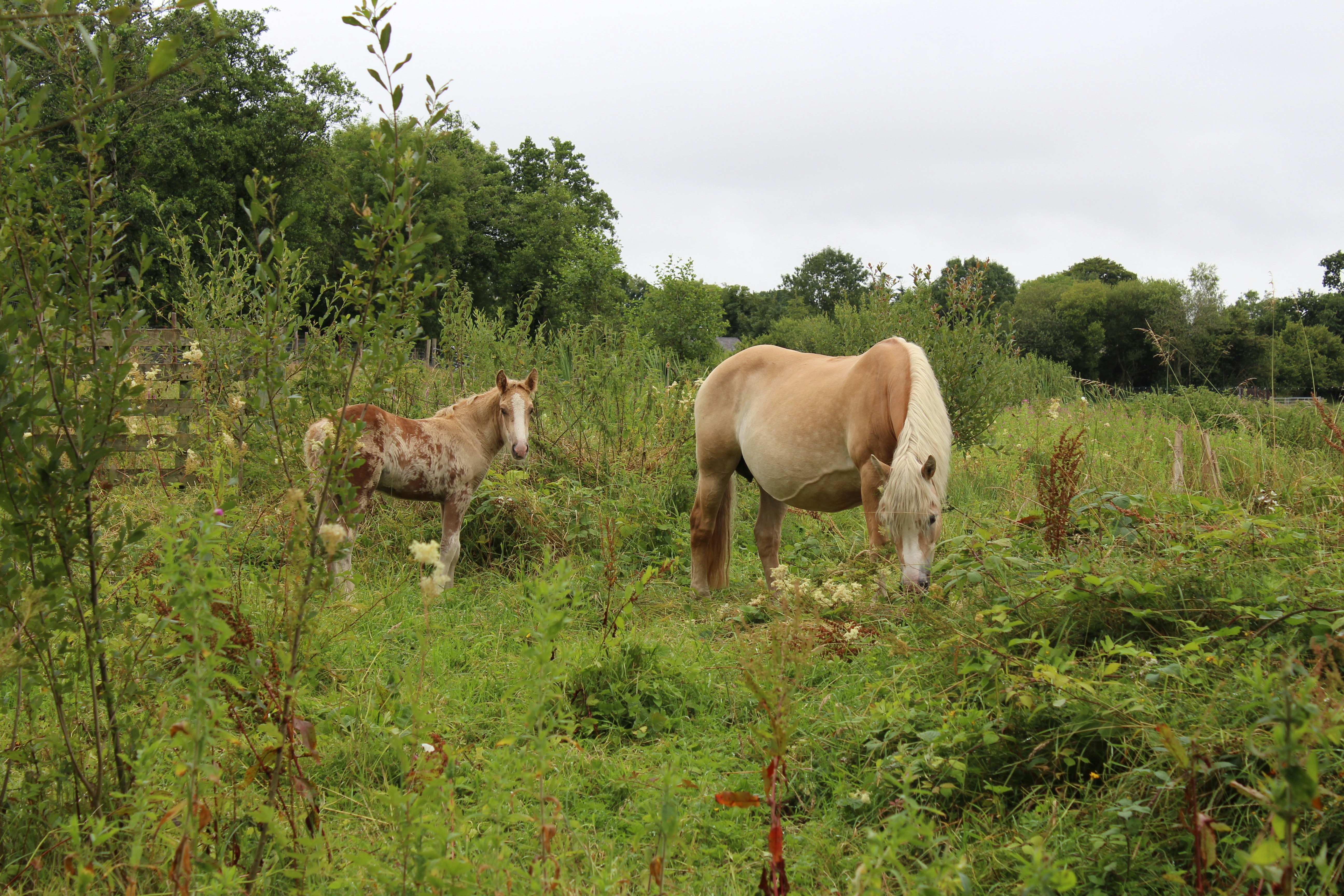 Photo by anna_zhynhel