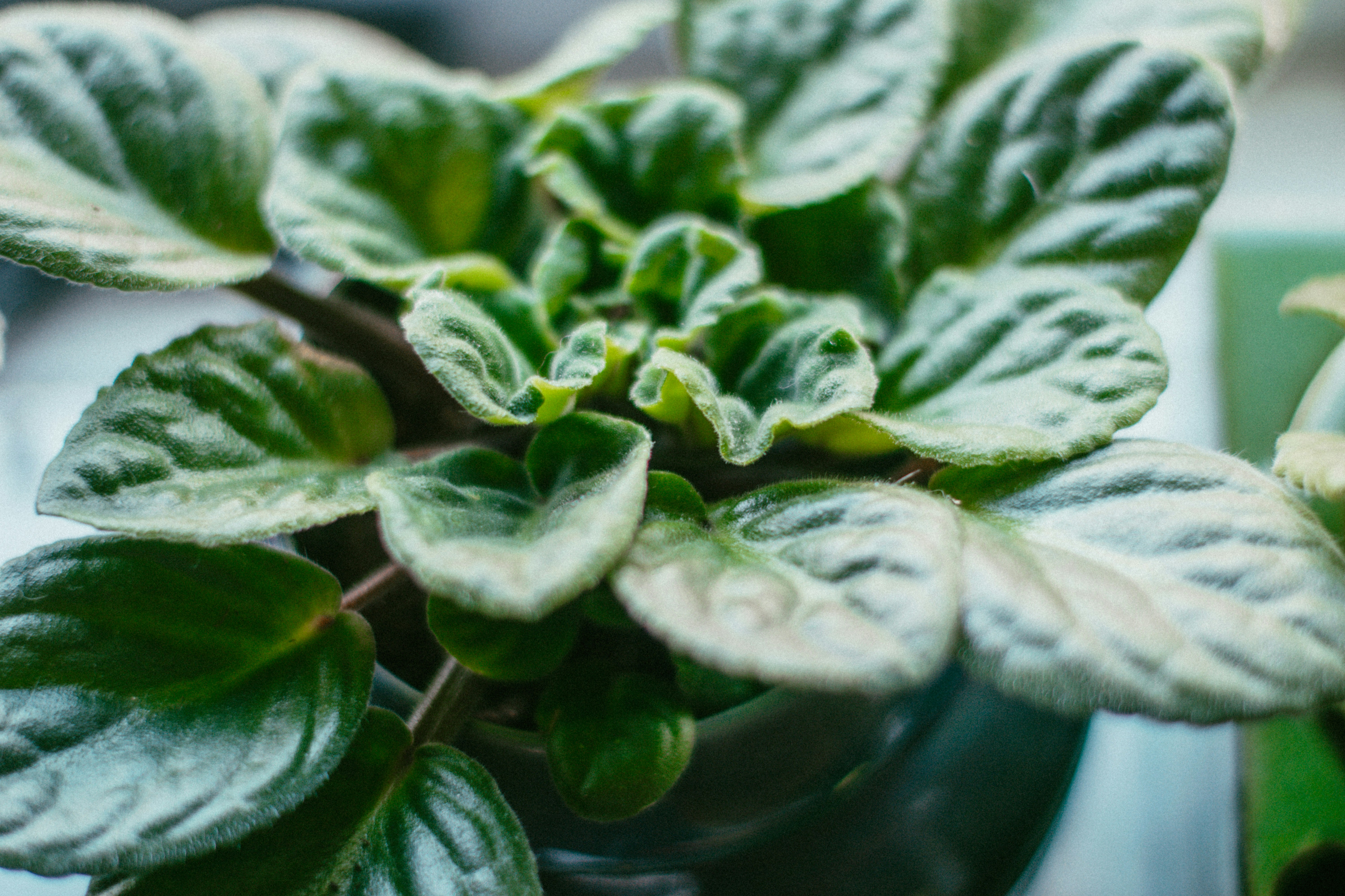 Photo by ameliakinnard