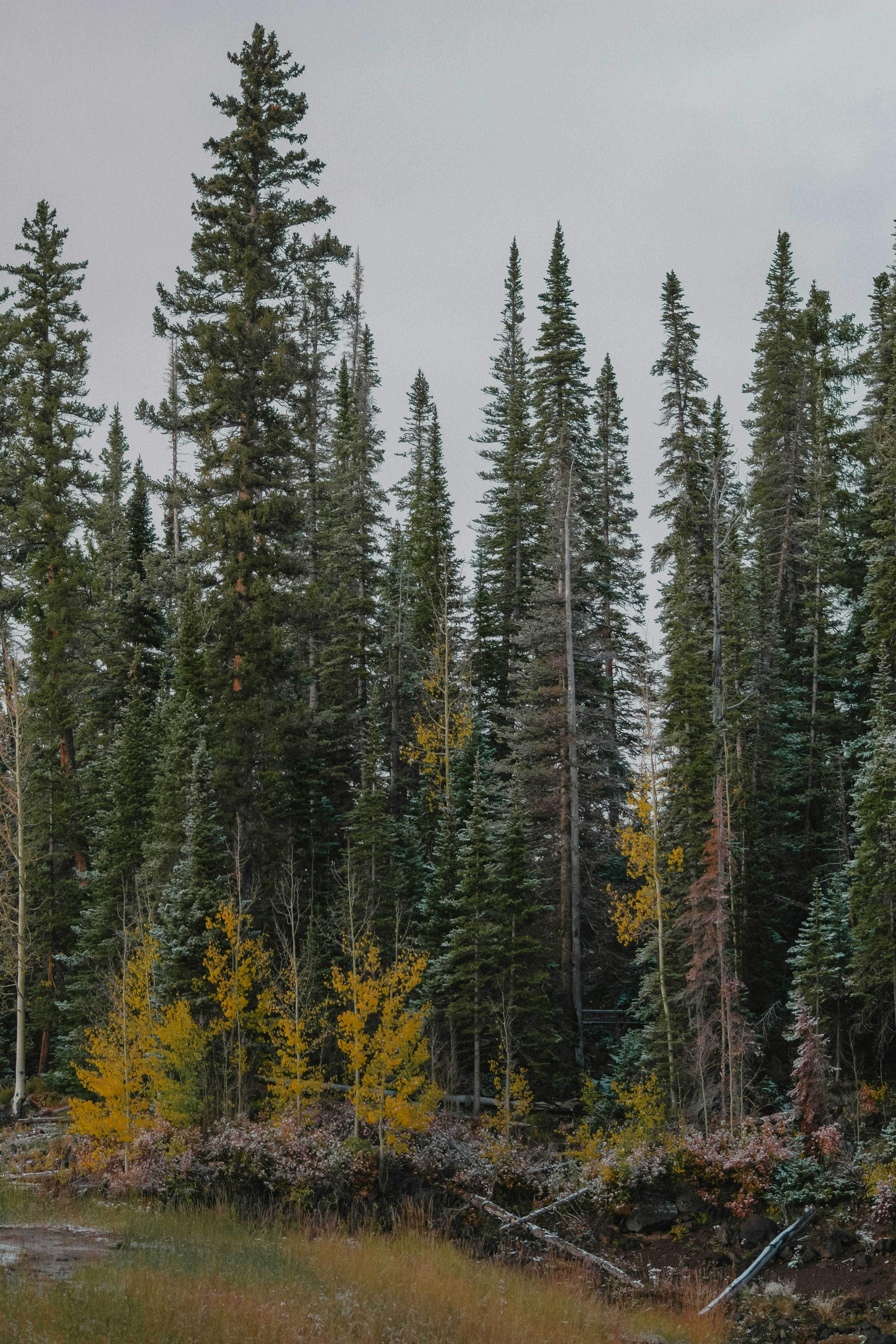 Photo by ameliakinnard