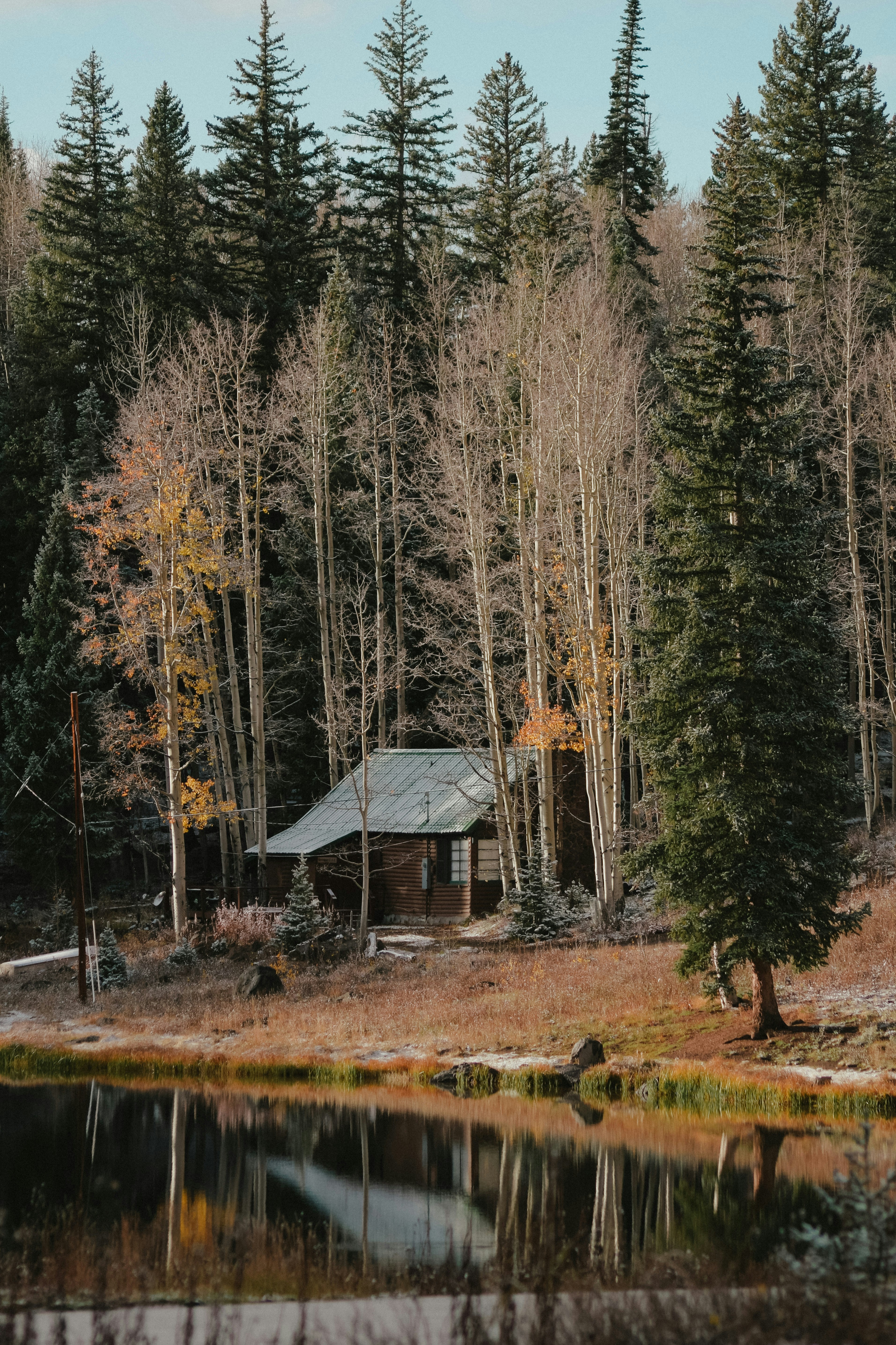 Photo by ameliakinnard