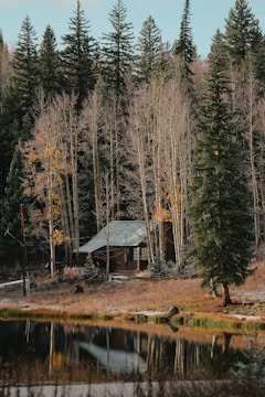 A rustic cabin is nestled among tall pine and aspen trees in an autumn forest. The cabin has a metal roof and wooden exterior, surrounded by a serene landscape. A reflective pond is in the foreground, capturing the image of the trees and cabin. The ground is covered with patches of snow and fallen leaves, indicating a transition between seasons.