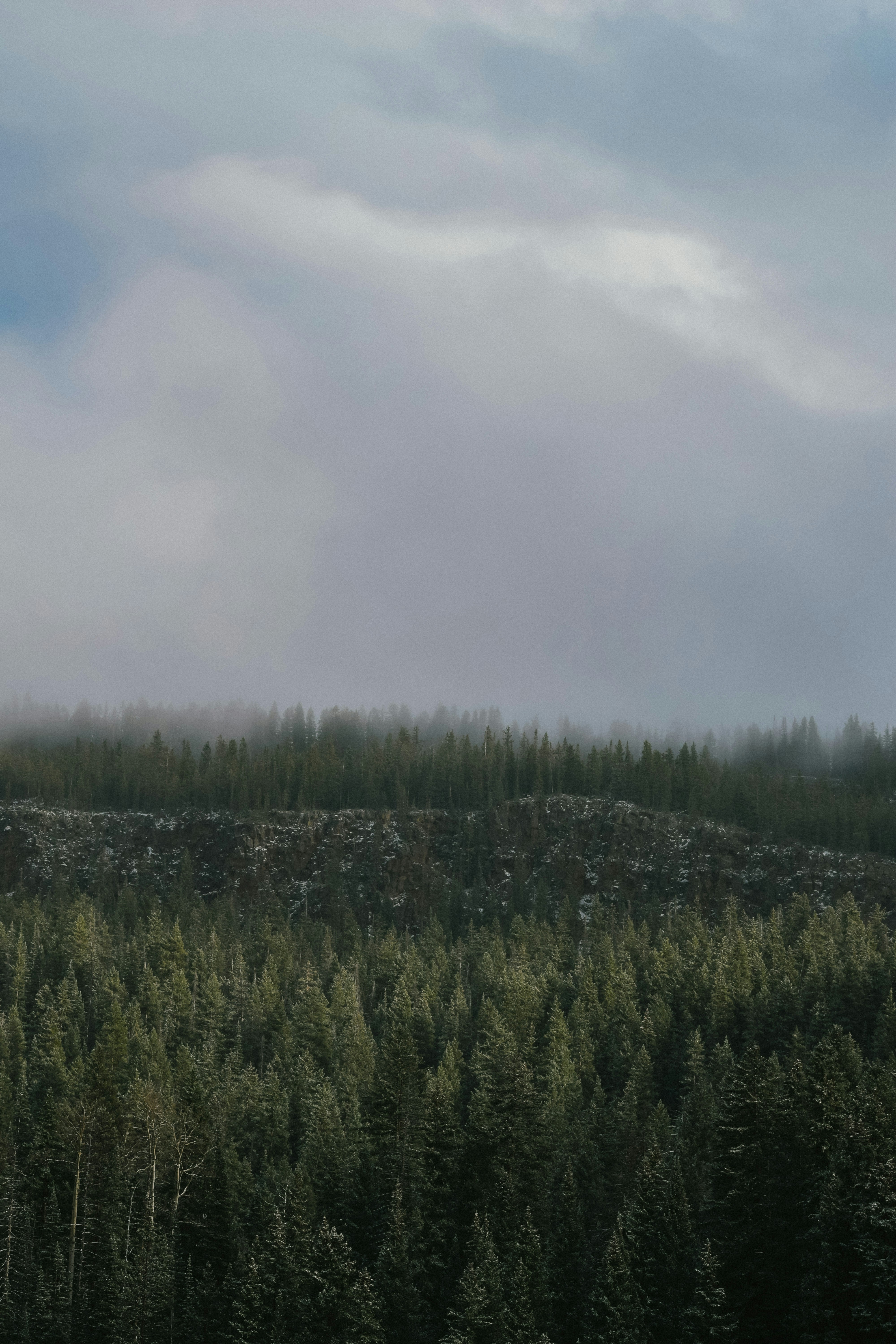 Photo by ameliakinnard