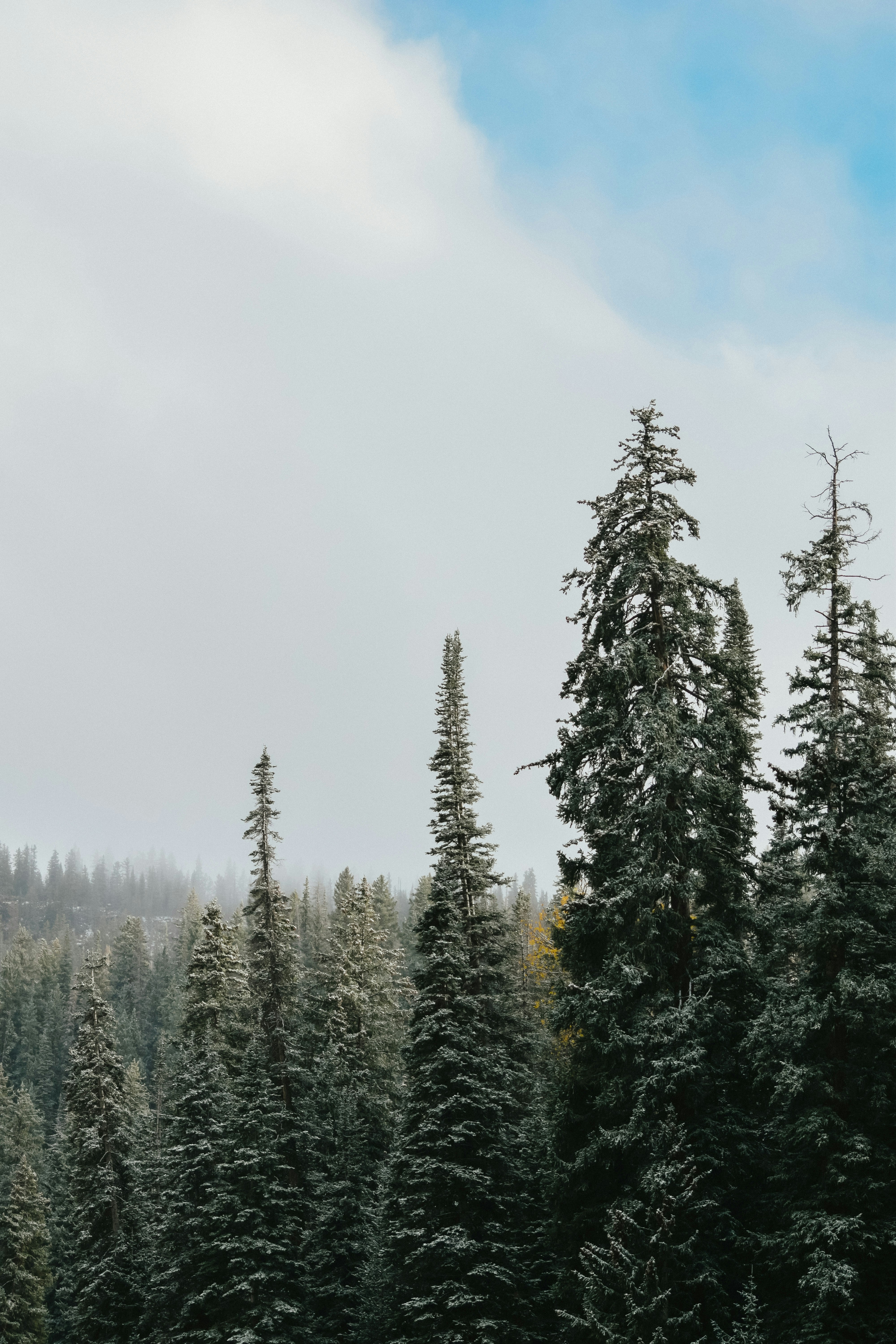 Photo by ameliakinnard