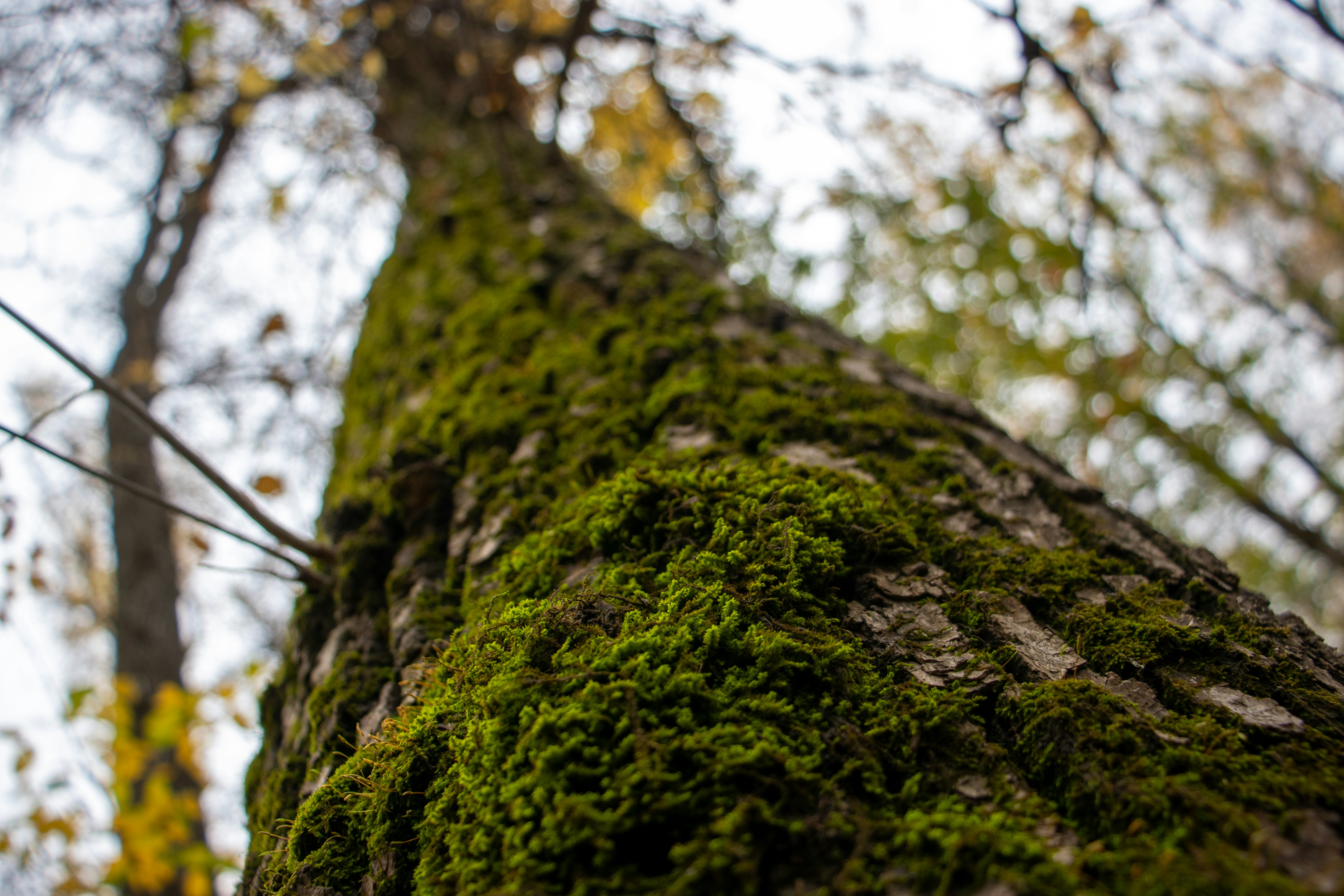 Photo by coreygrey__