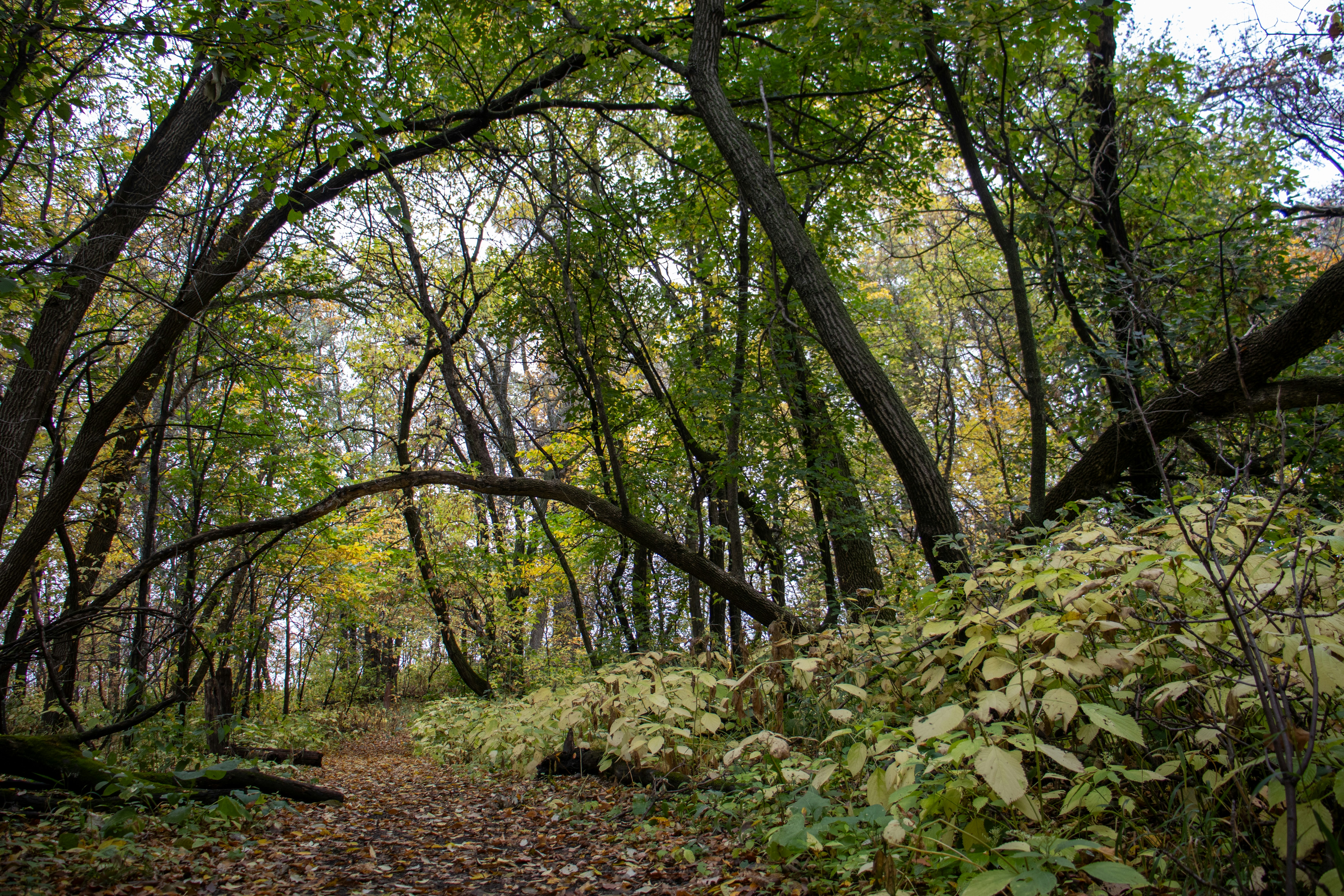 Photo by coreygrey__