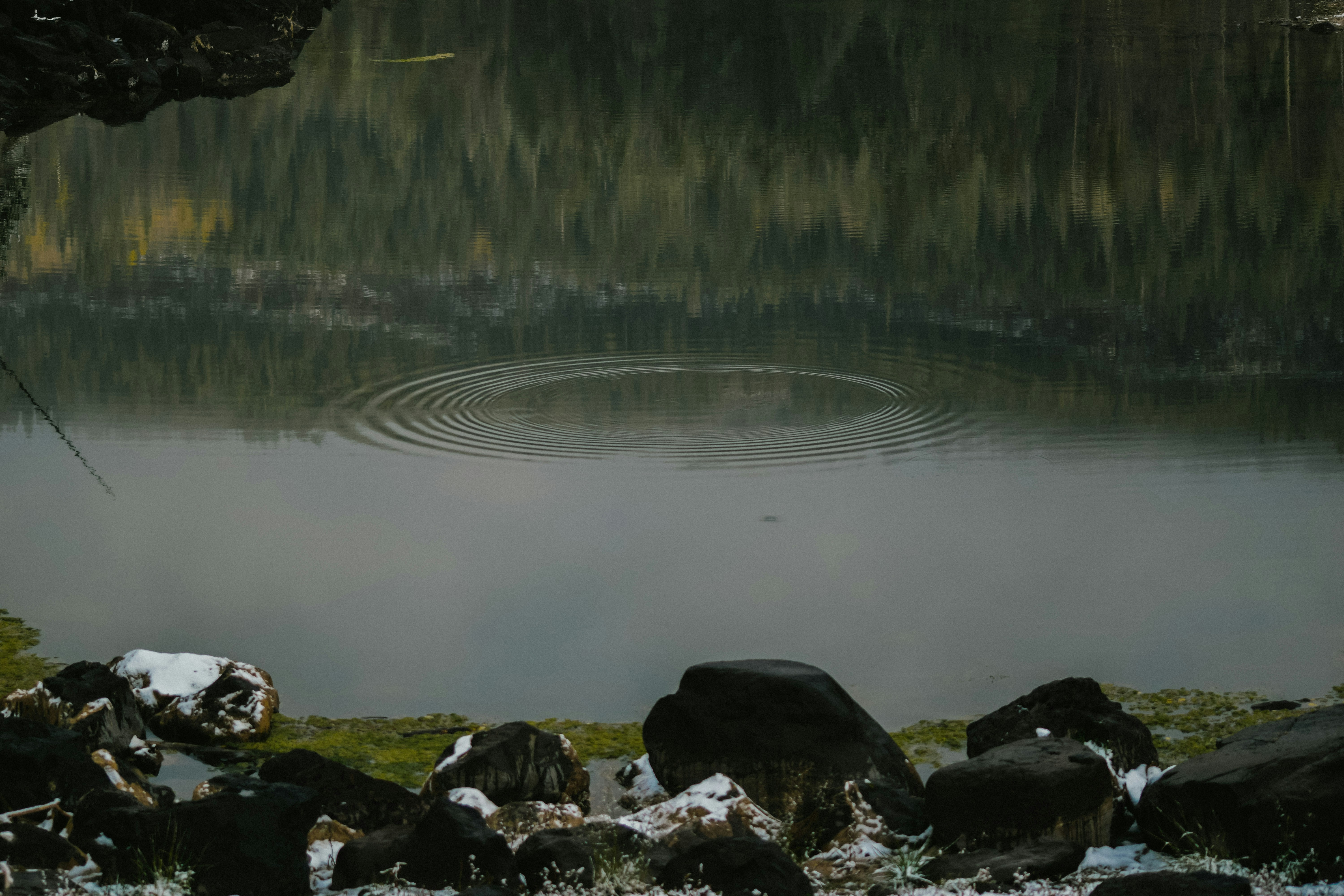 Photo by ameliakinnard