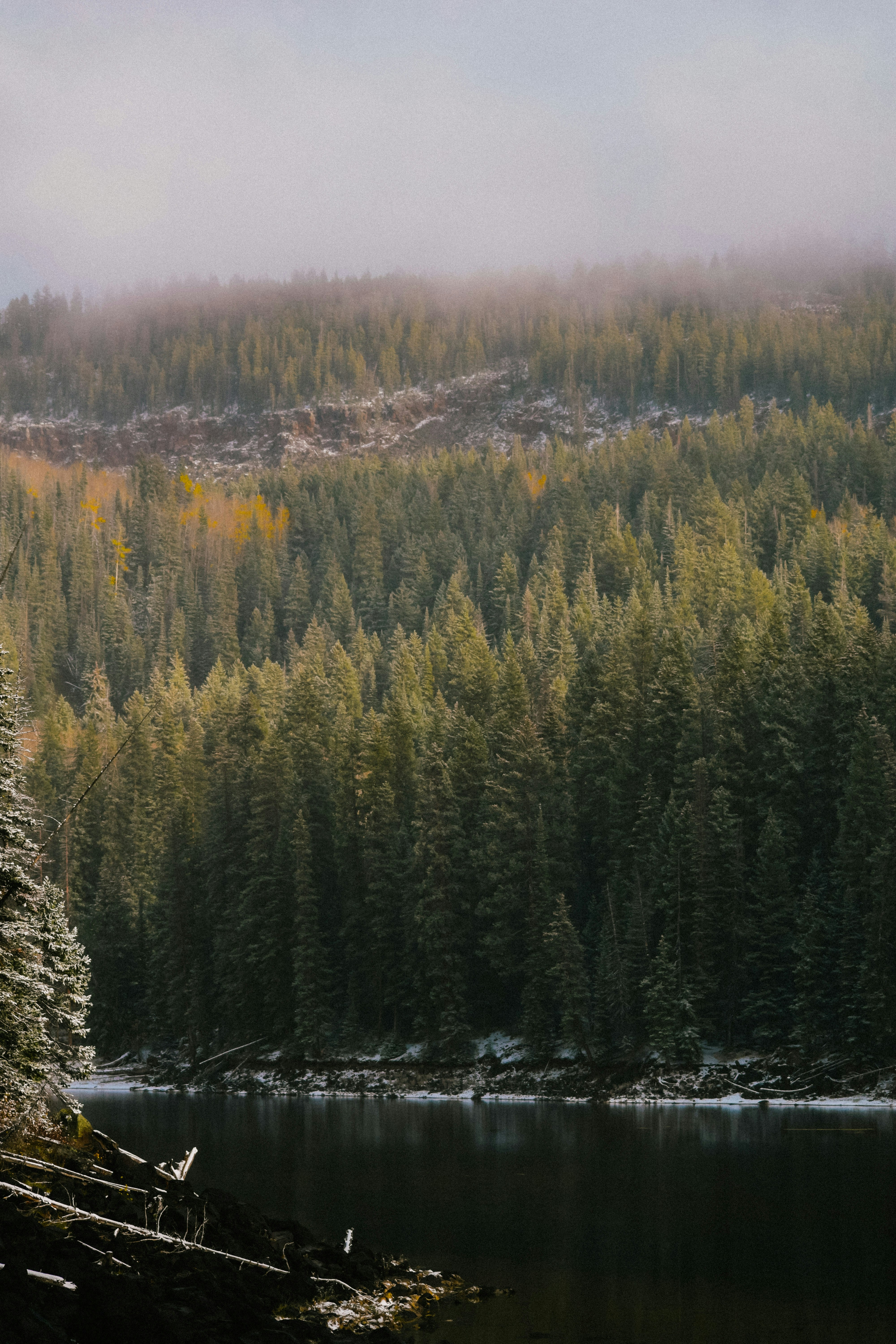 Photo by ameliakinnard