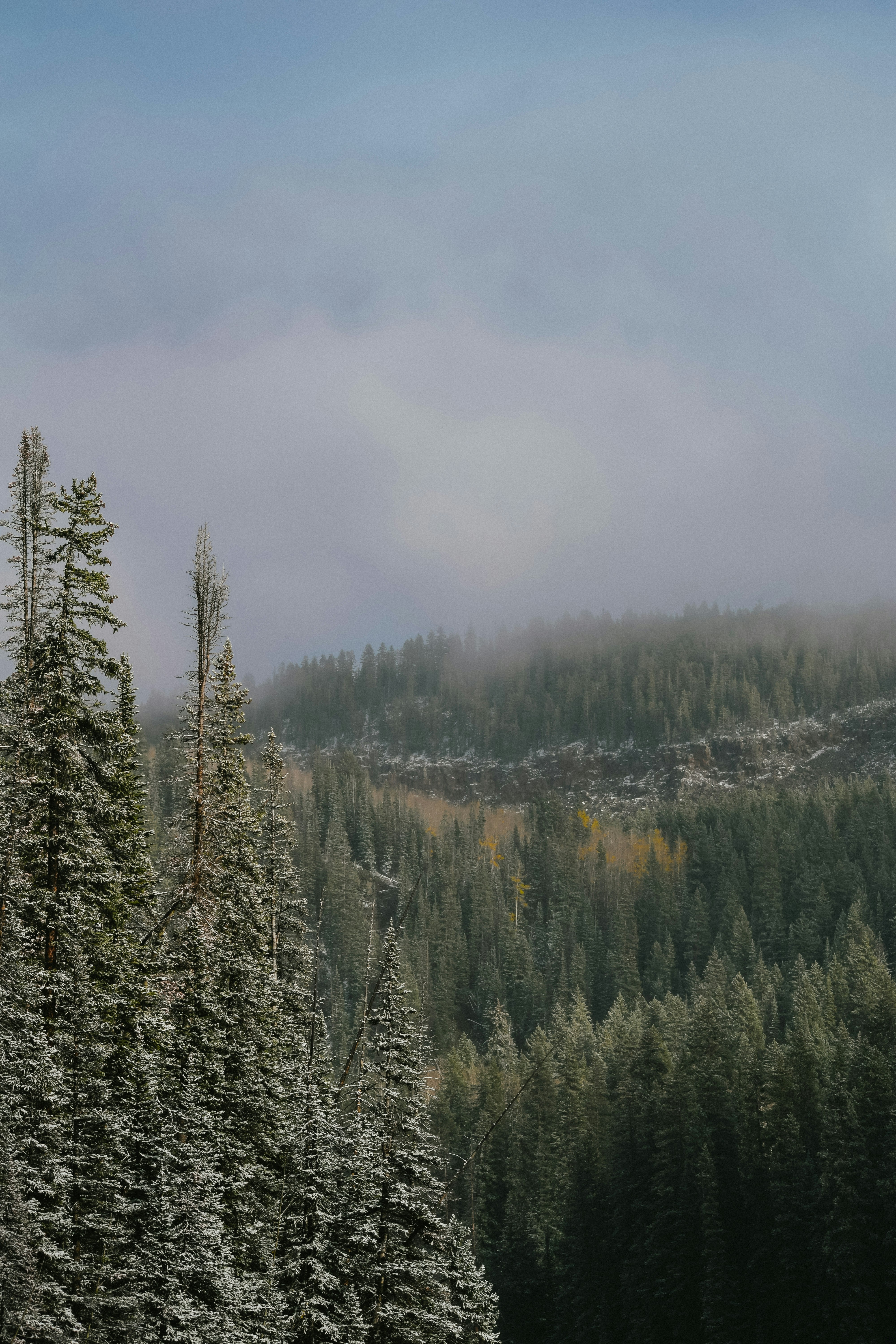 Photo by ameliakinnard