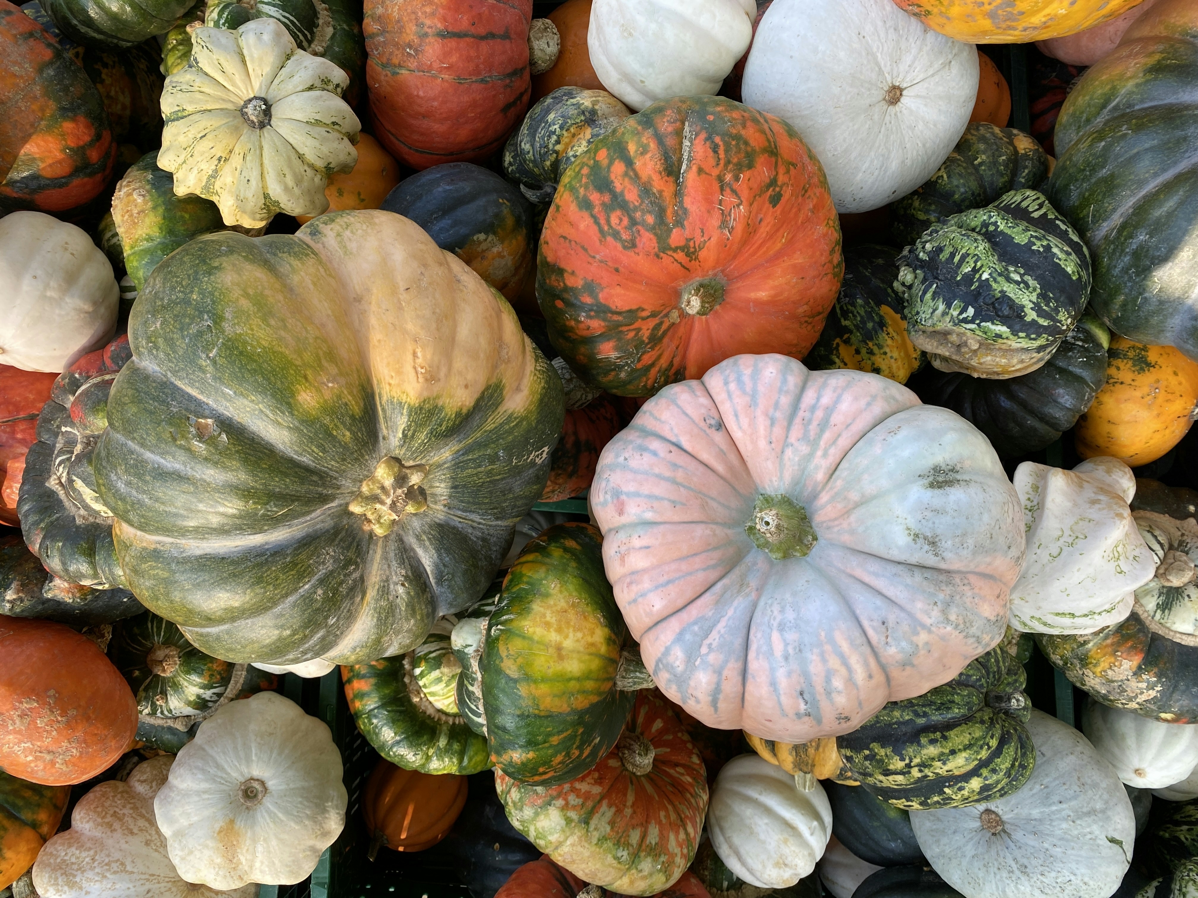 Photo by mike_romeo_hotel