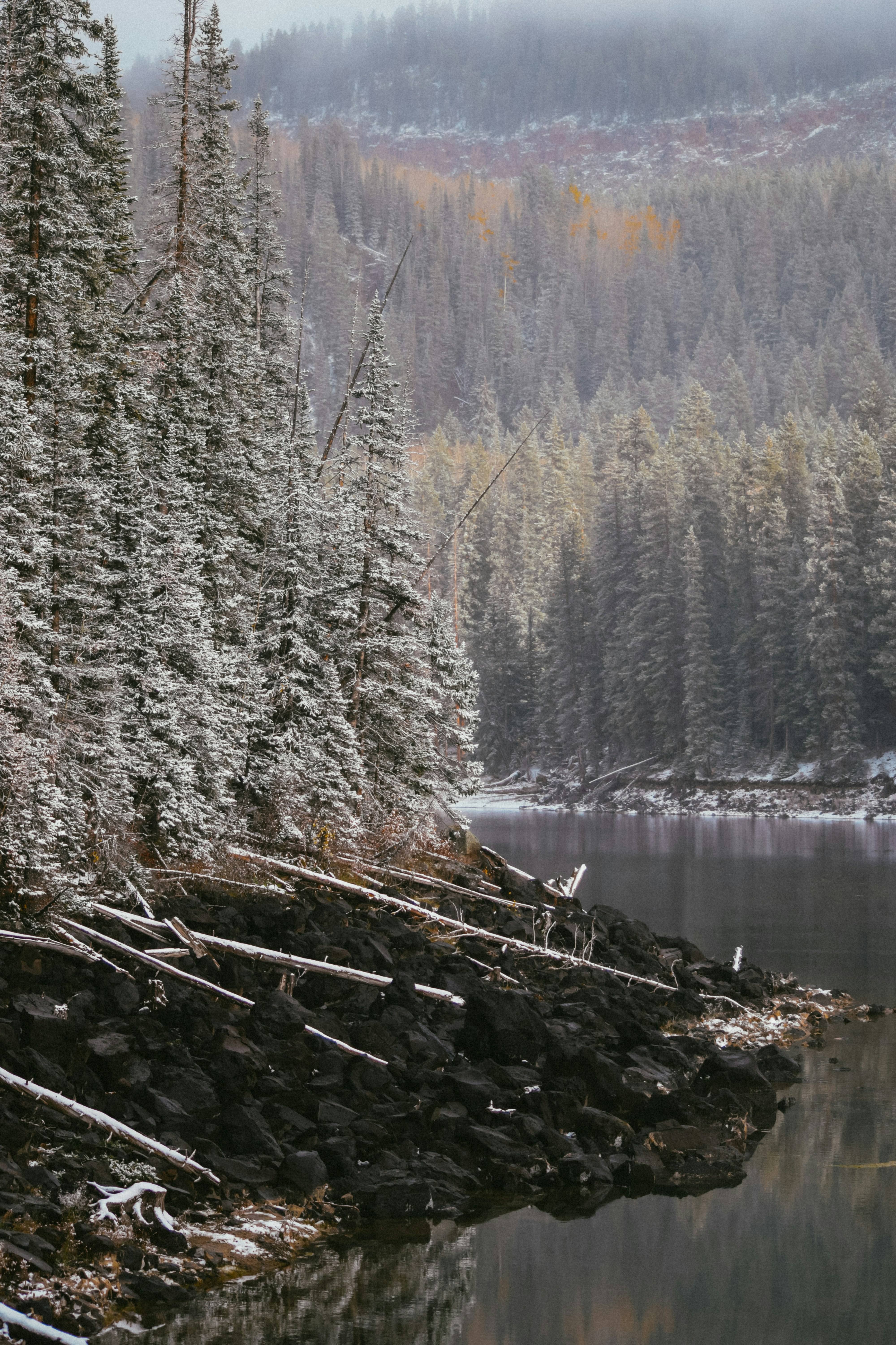 Photo by ameliakinnard