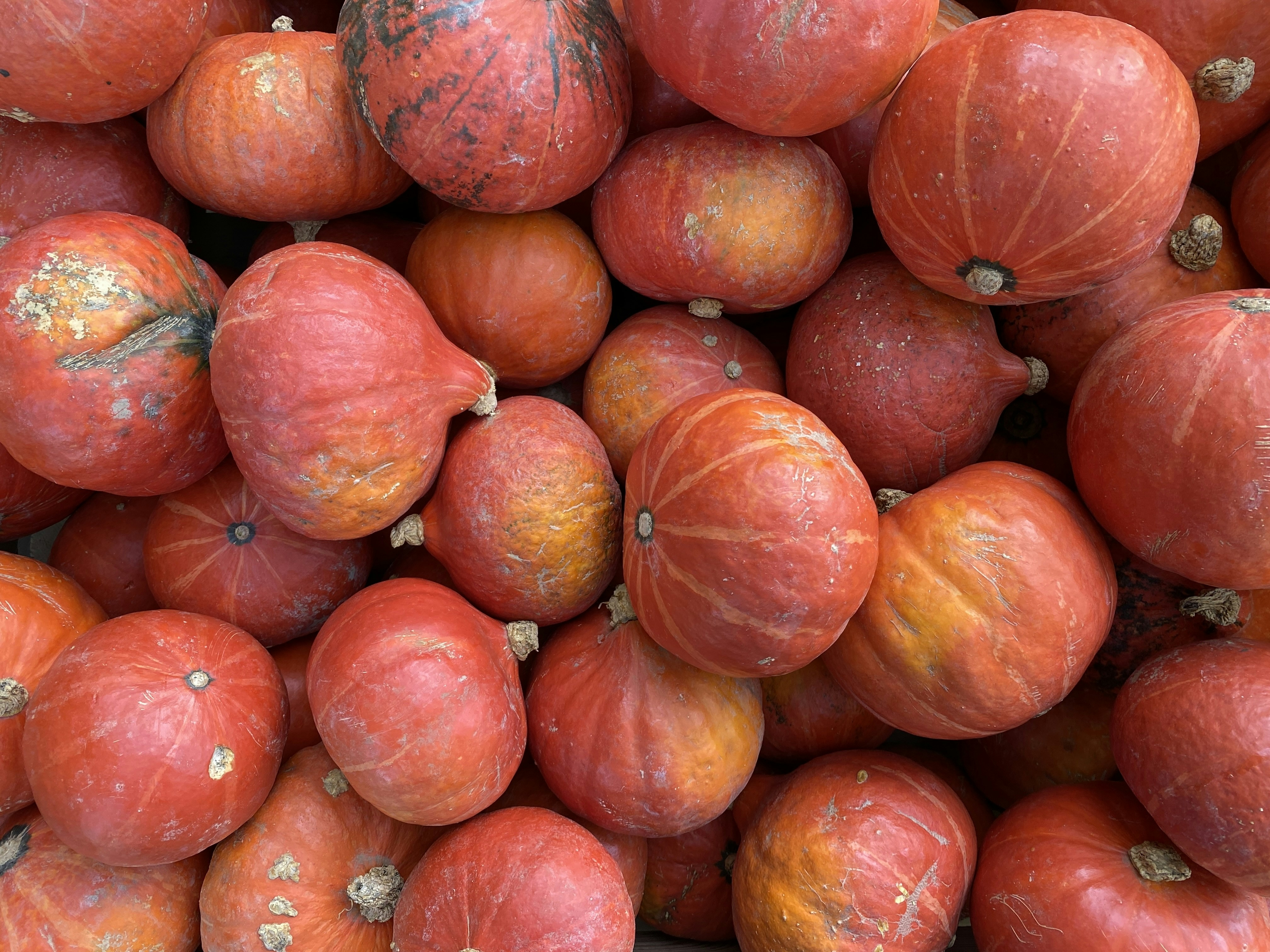 Photo by mike_romeo_hotel