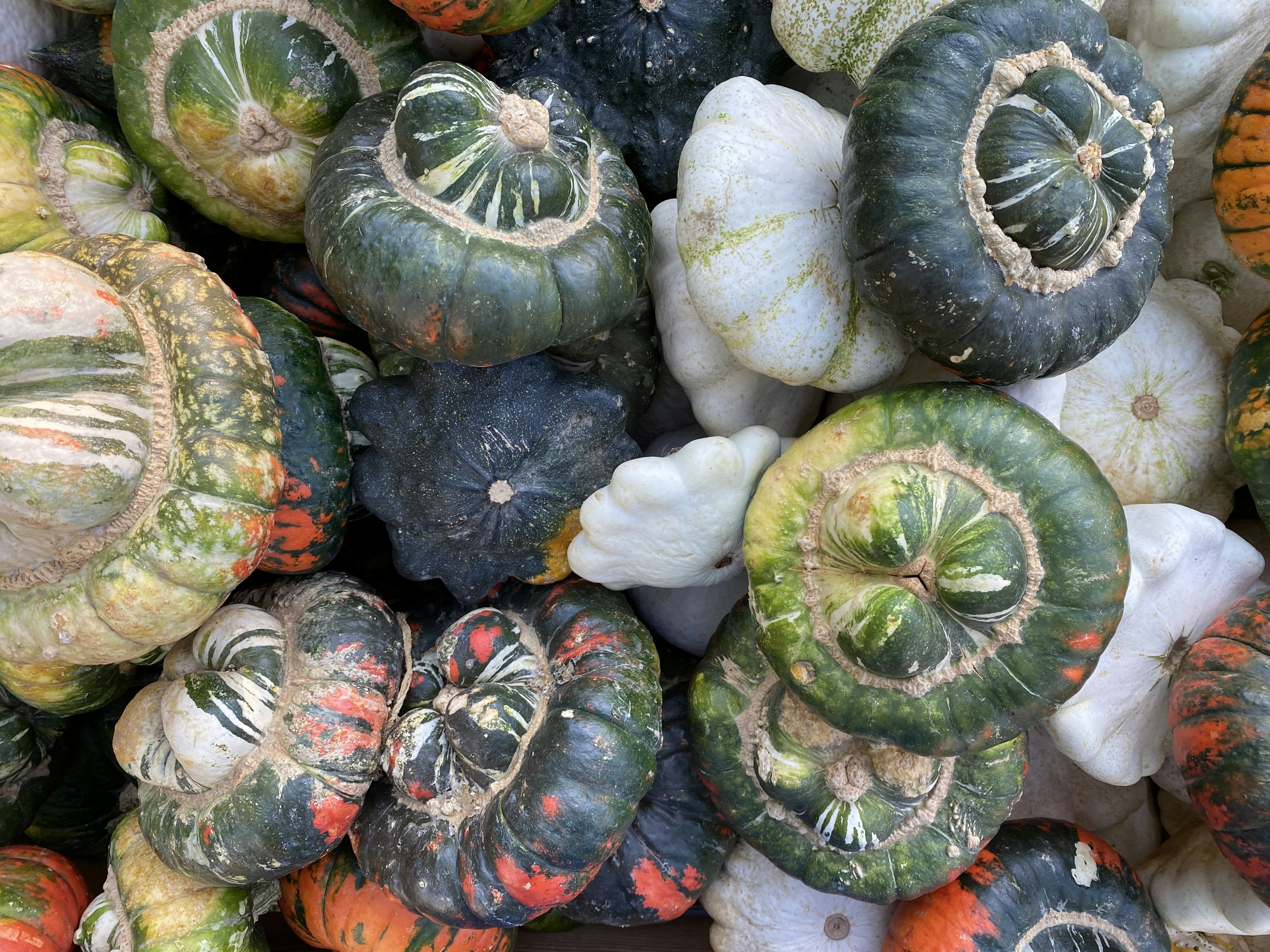 A vitamindús étrend fontos szerepe az egészségünkben