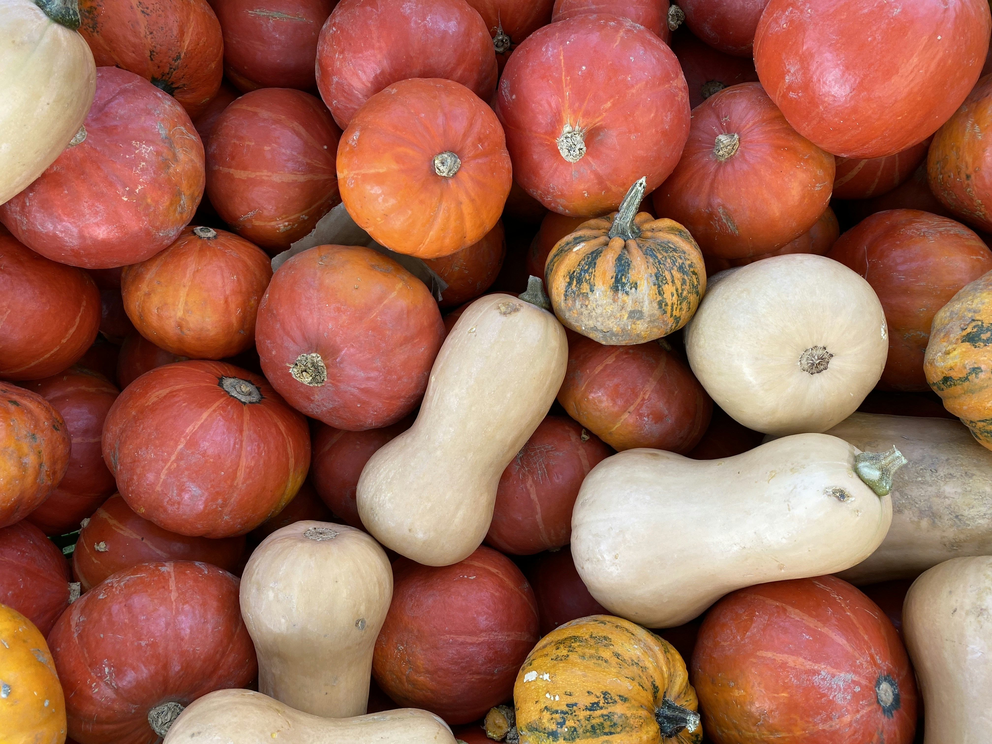 Photo by mike_romeo_hotel