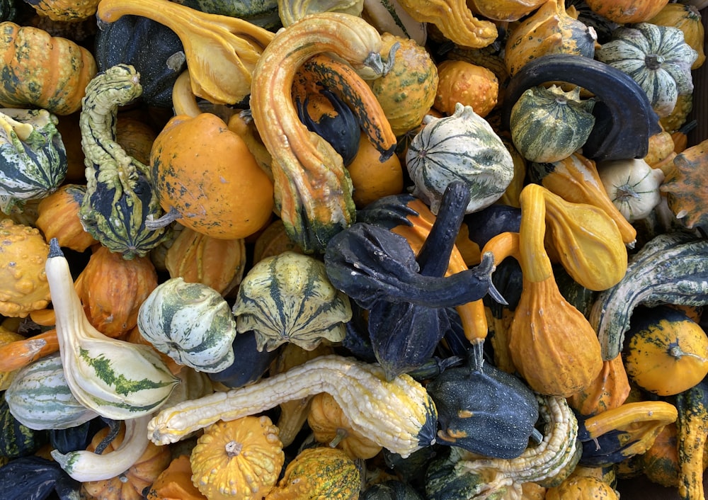 a pile of different colored gourds and squash