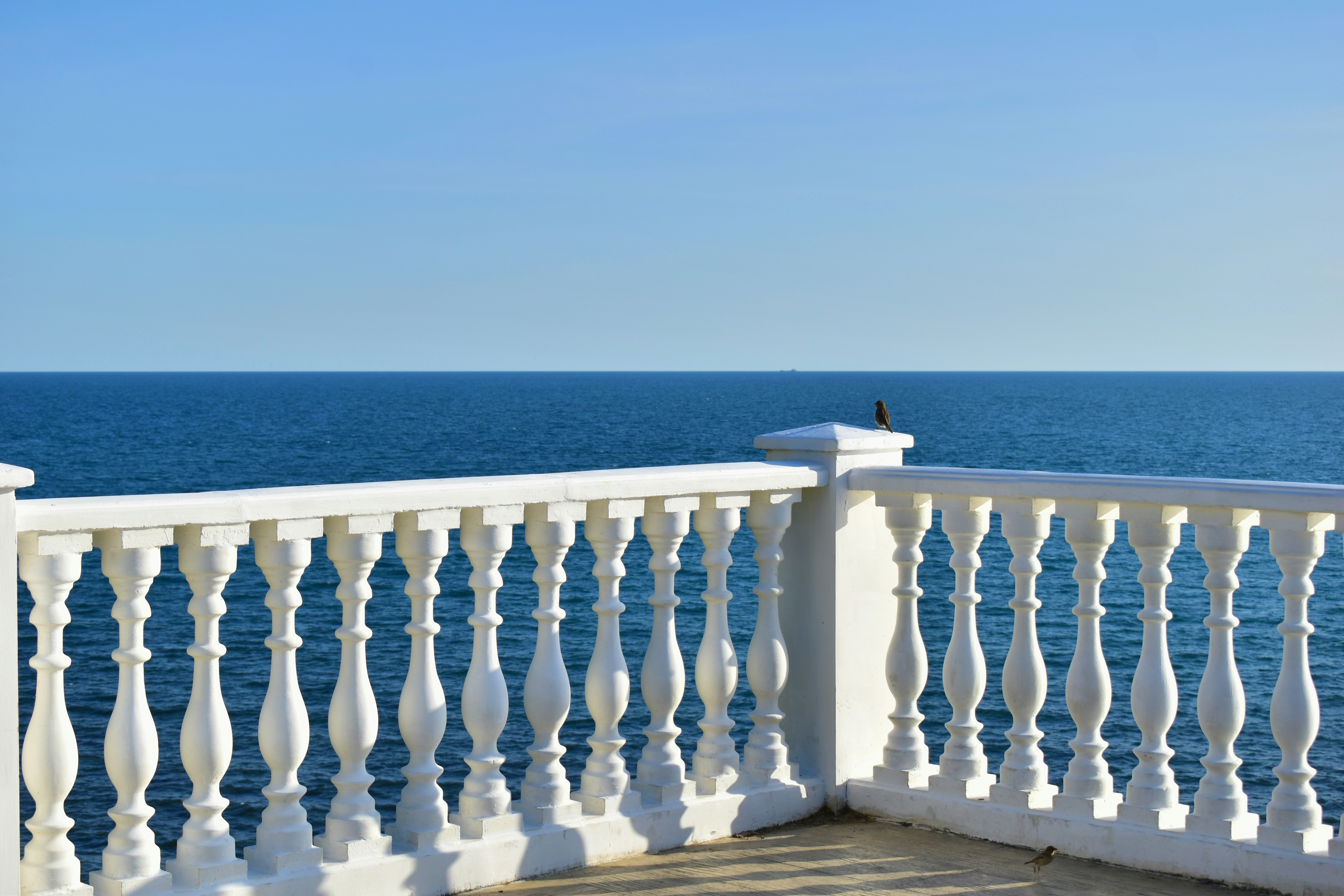 Photo by polina_grishma