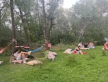 Several people are relaxing in a serene forest setting. They are lying on hammocks and cushions arranged on the grass under tall trees. The atmosphere is peaceful, with scattered small shrubs on the ground and dense greenery in the background. A group is sitting and chatting while another person appears to be lounging with a dog nearby.