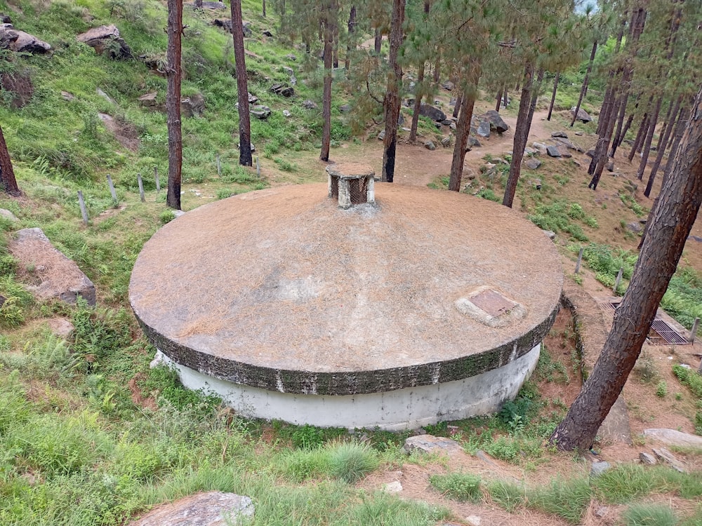 a concrete structure in the middle of a forest