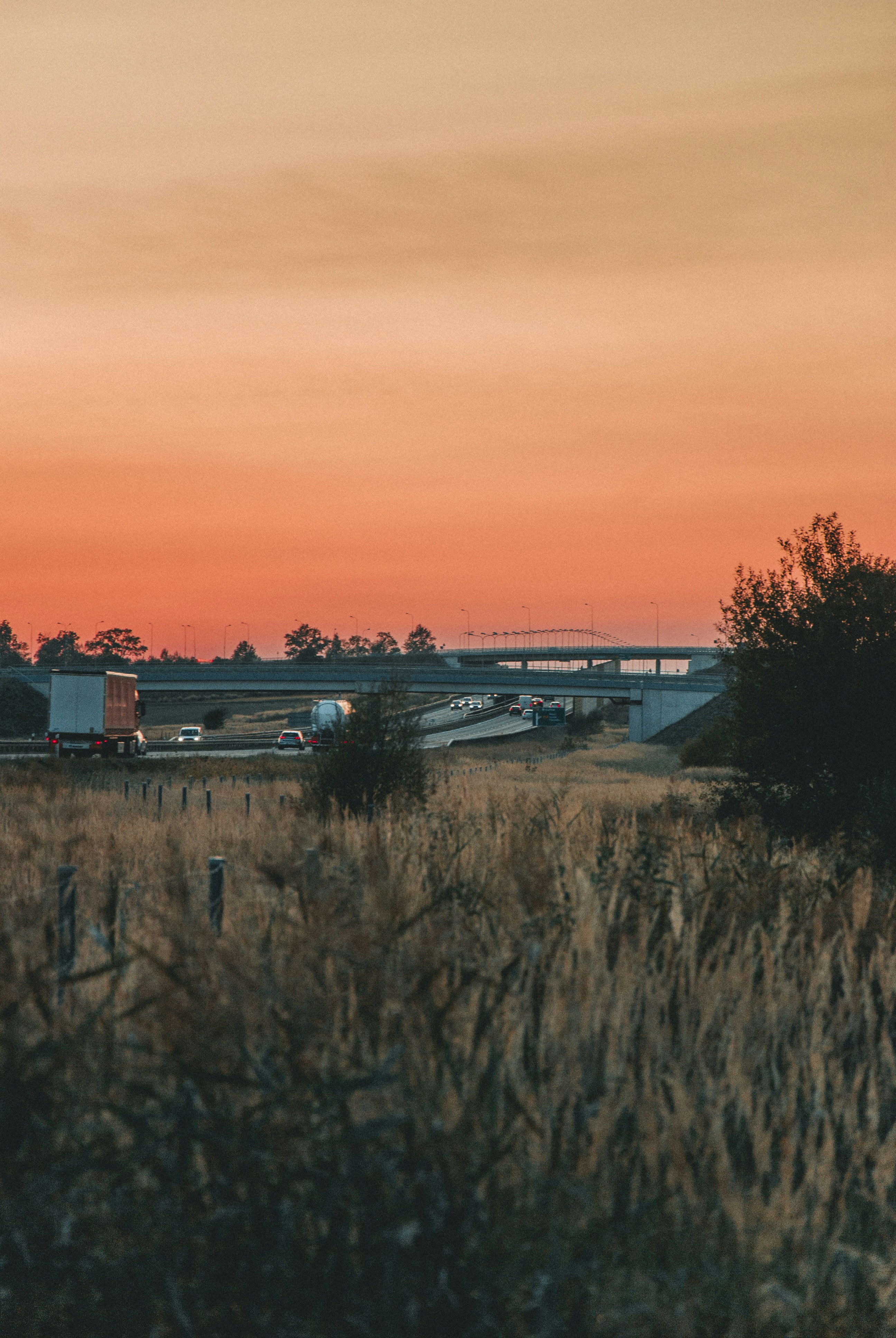 Photo by iamfrancismorgan