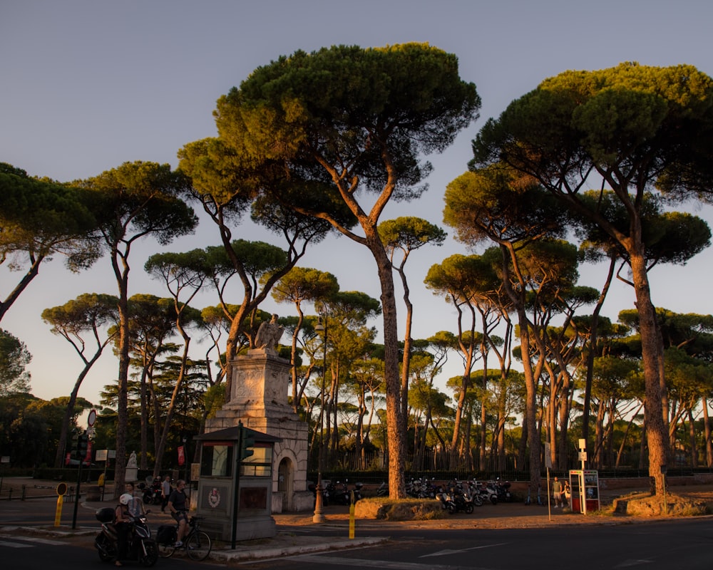 a group of trees that are next to a street