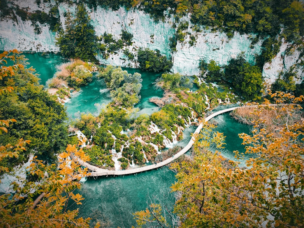 an aerial view of a river surrounded by trees