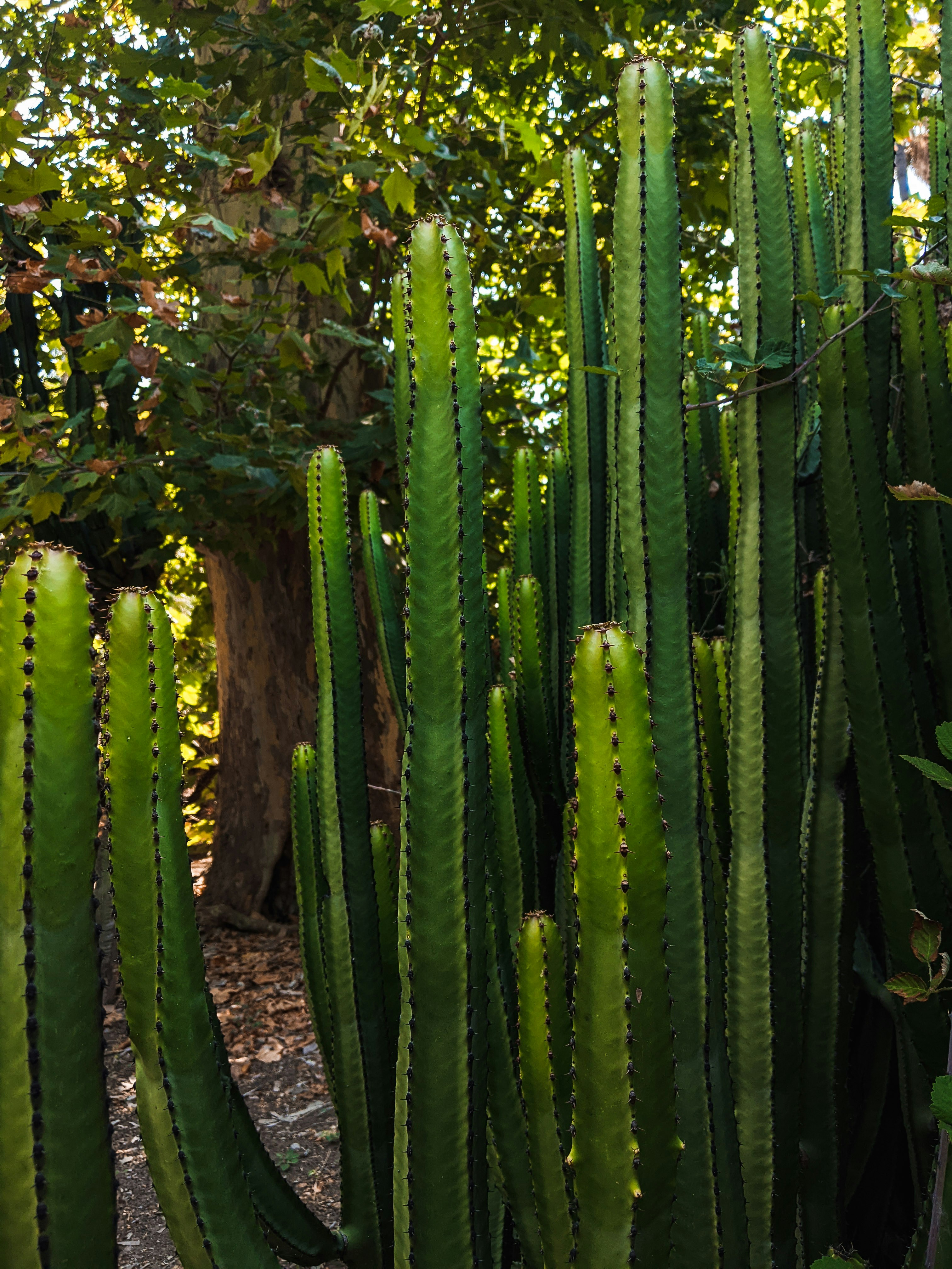 Photo by muchowakoid