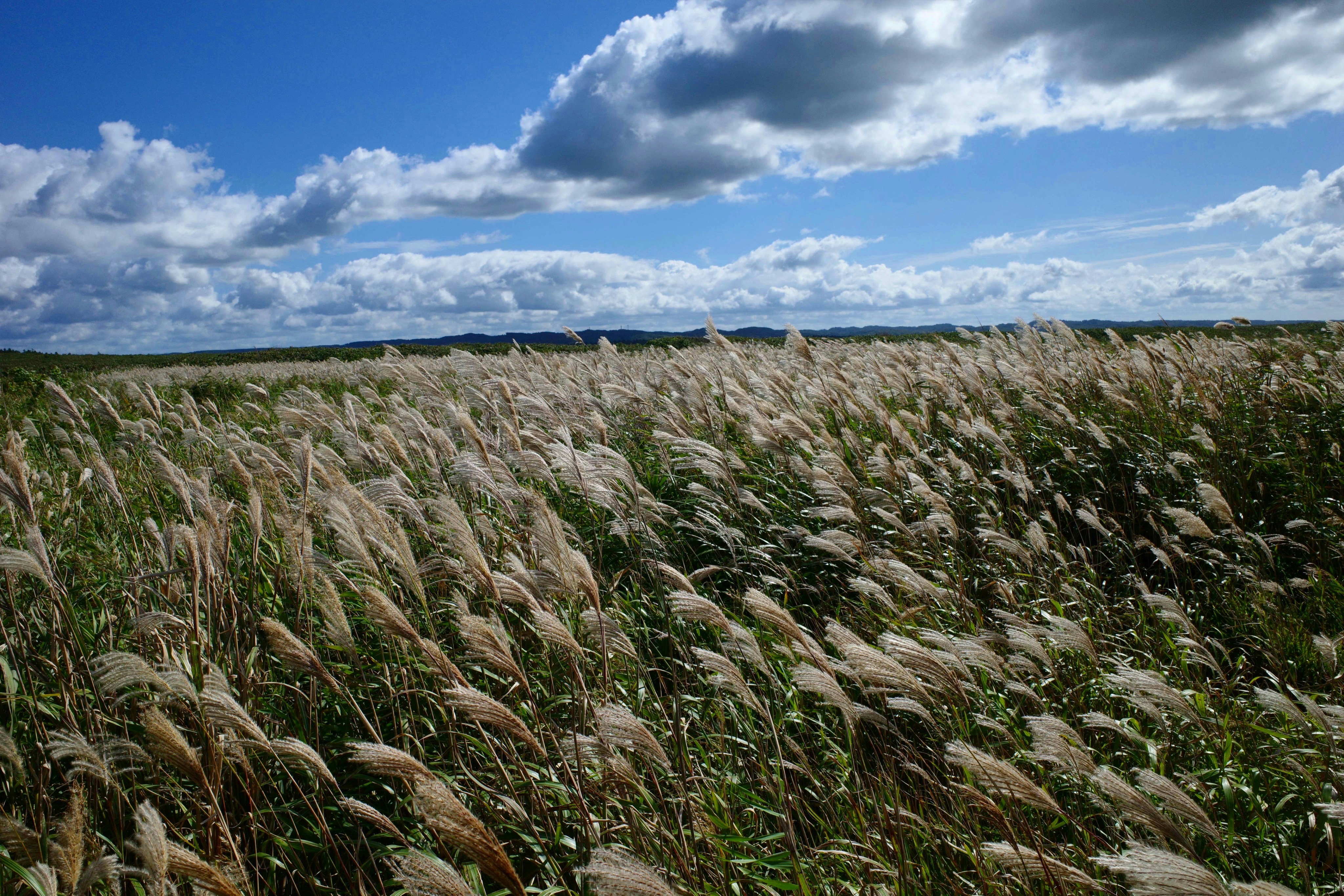 Photo by hotakasaito