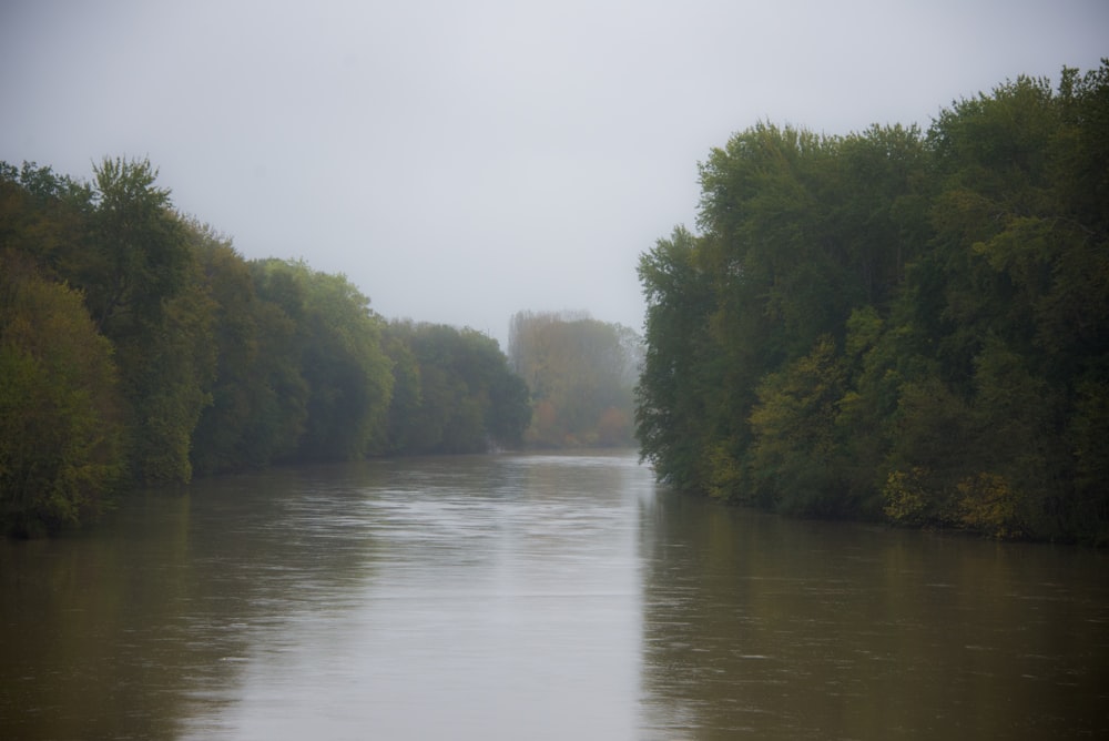 a body of water surrounded by trees on a foggy day