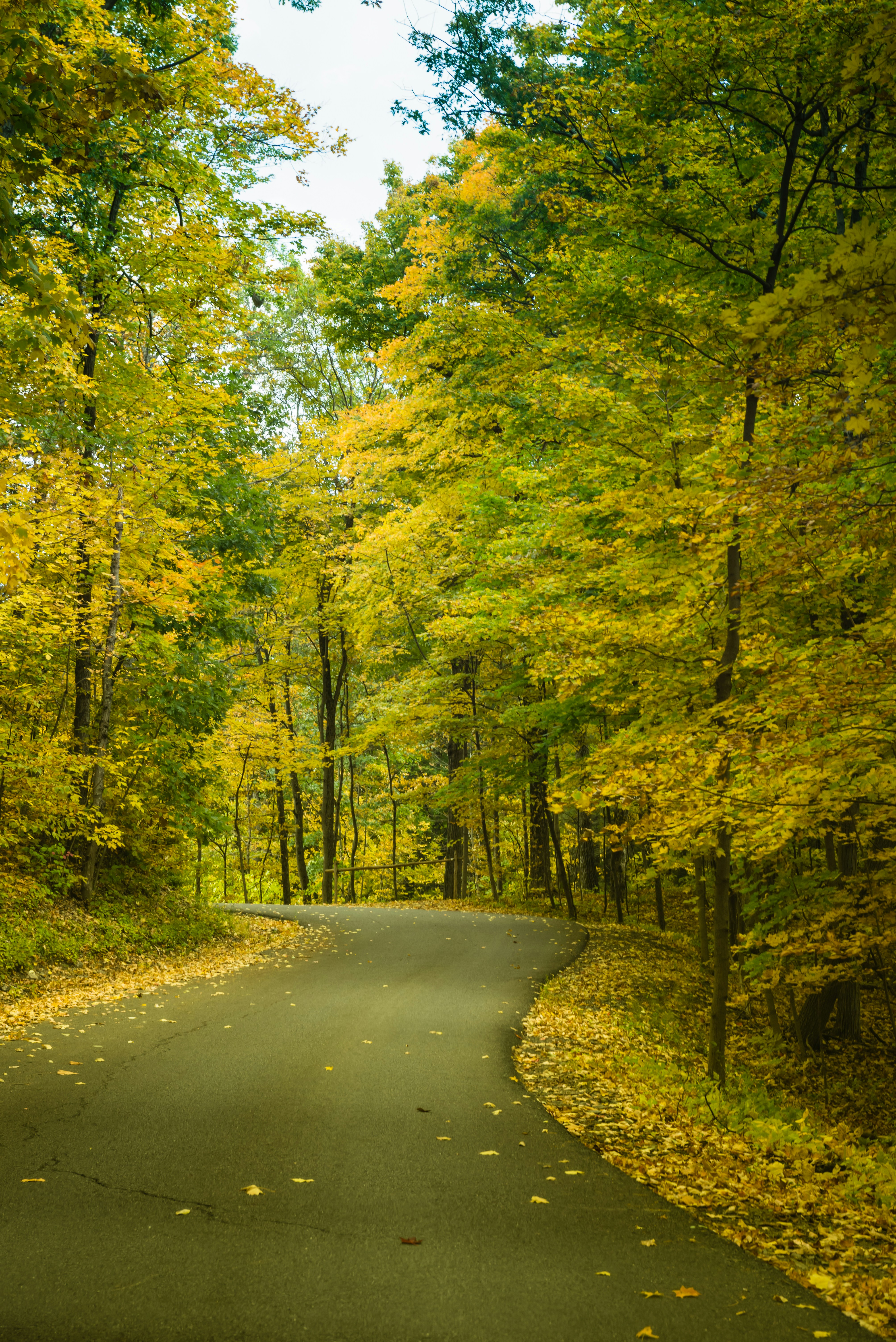 Photo by fortuitousfoto