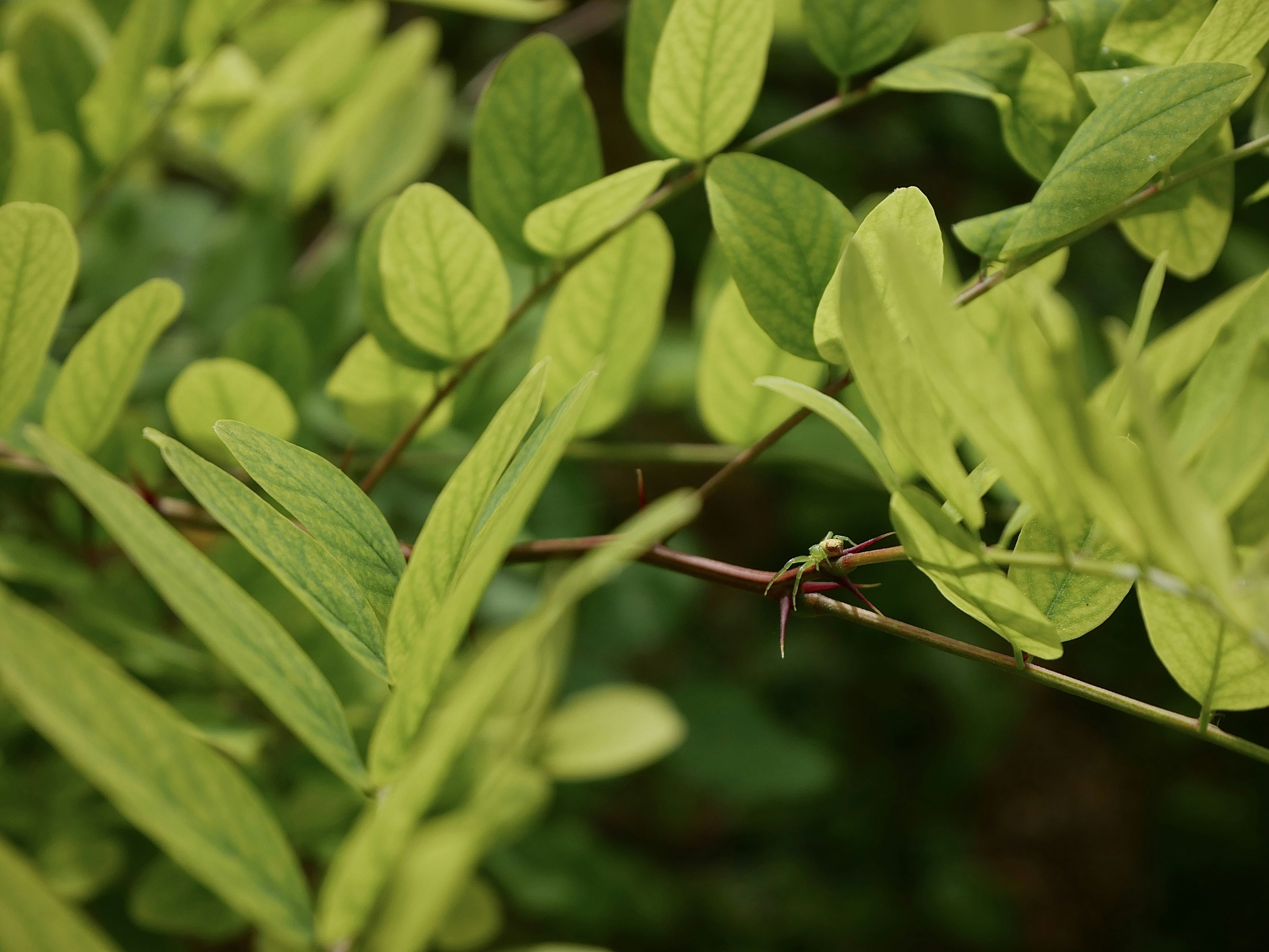 Photo by berciuemanuel