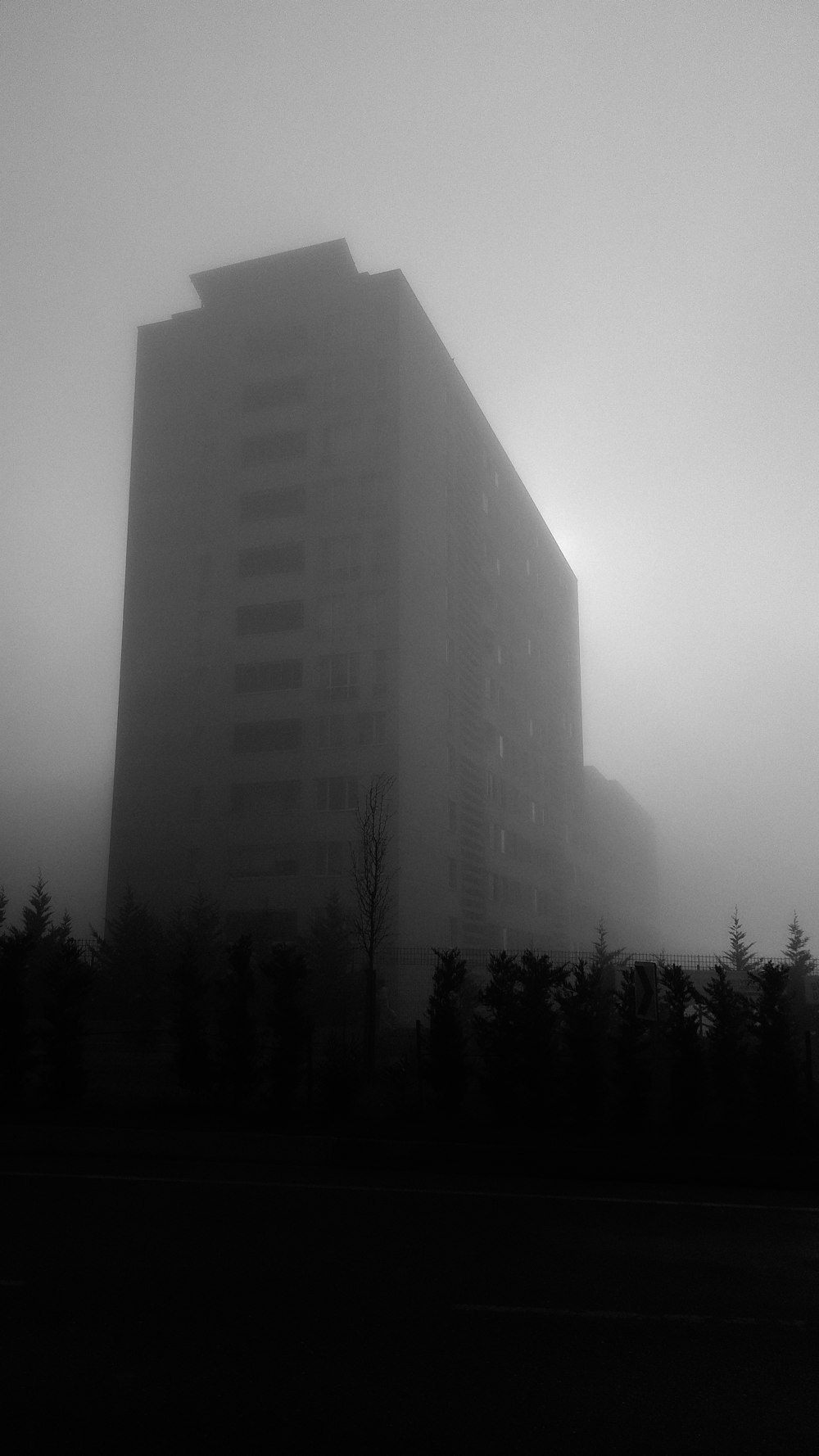 a tall building sitting in the middle of a foggy forest