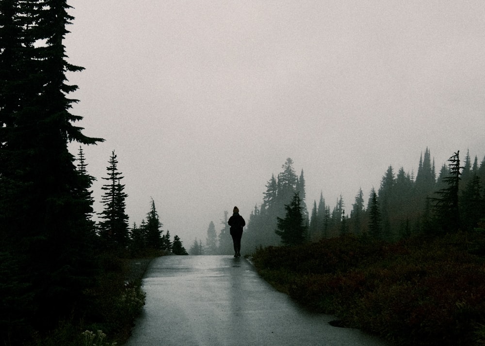 a person walking down a road in the middle of a forest