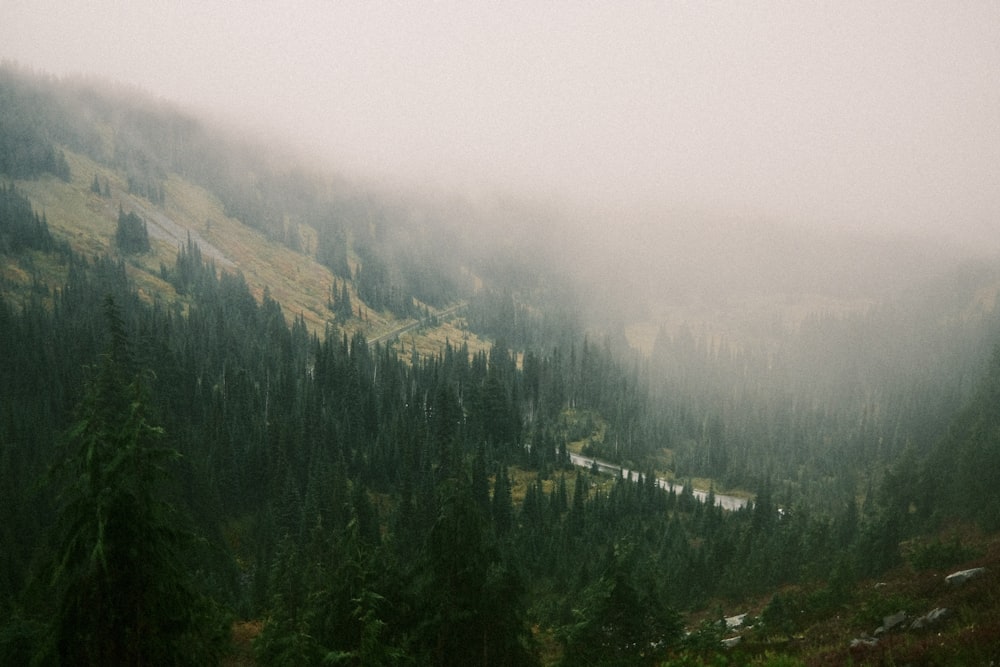 une montagne brumeuse avec des arbres et une rivière