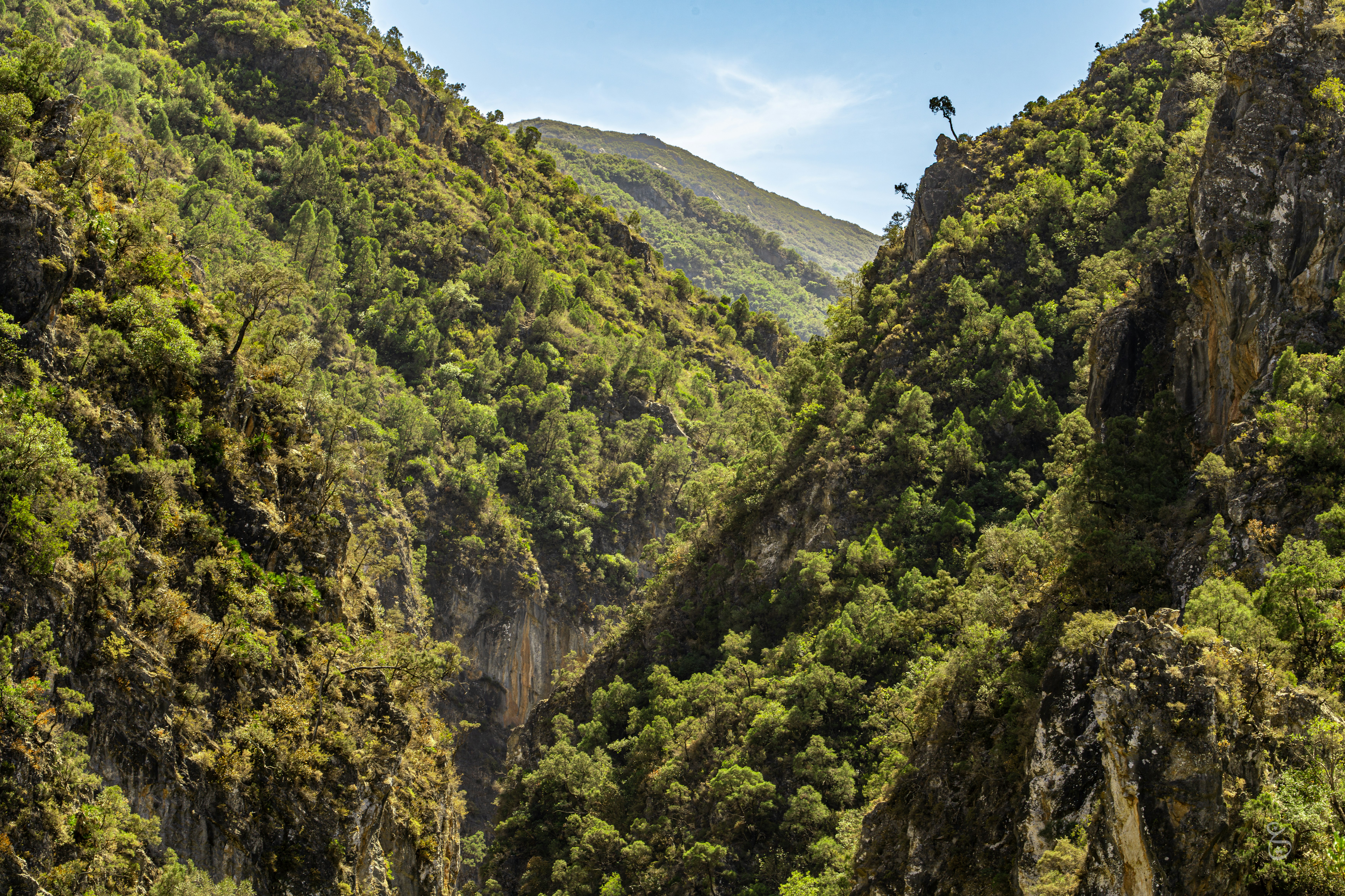 Photo by theemanofoth