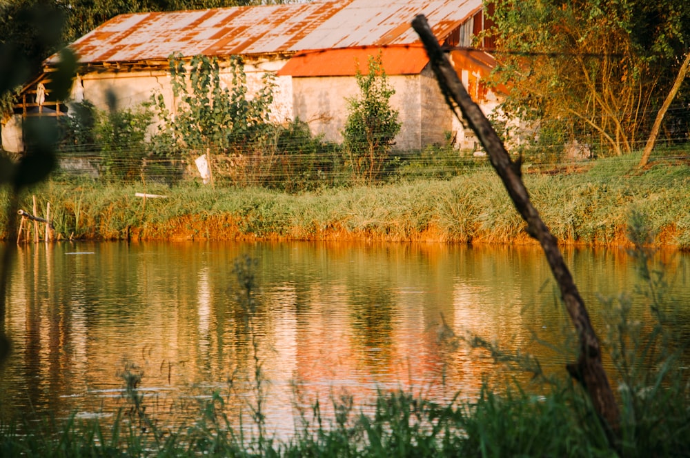 a bird is standing on the edge of a body of water