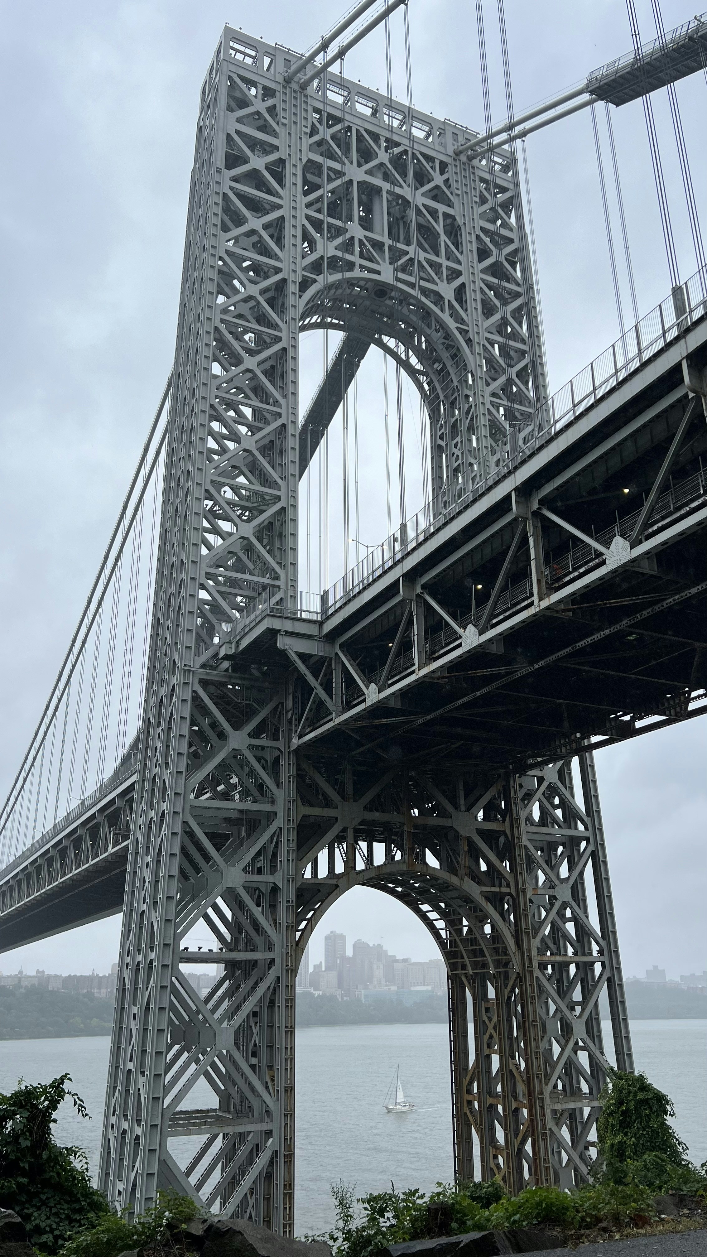 Photo by syedafatima3116