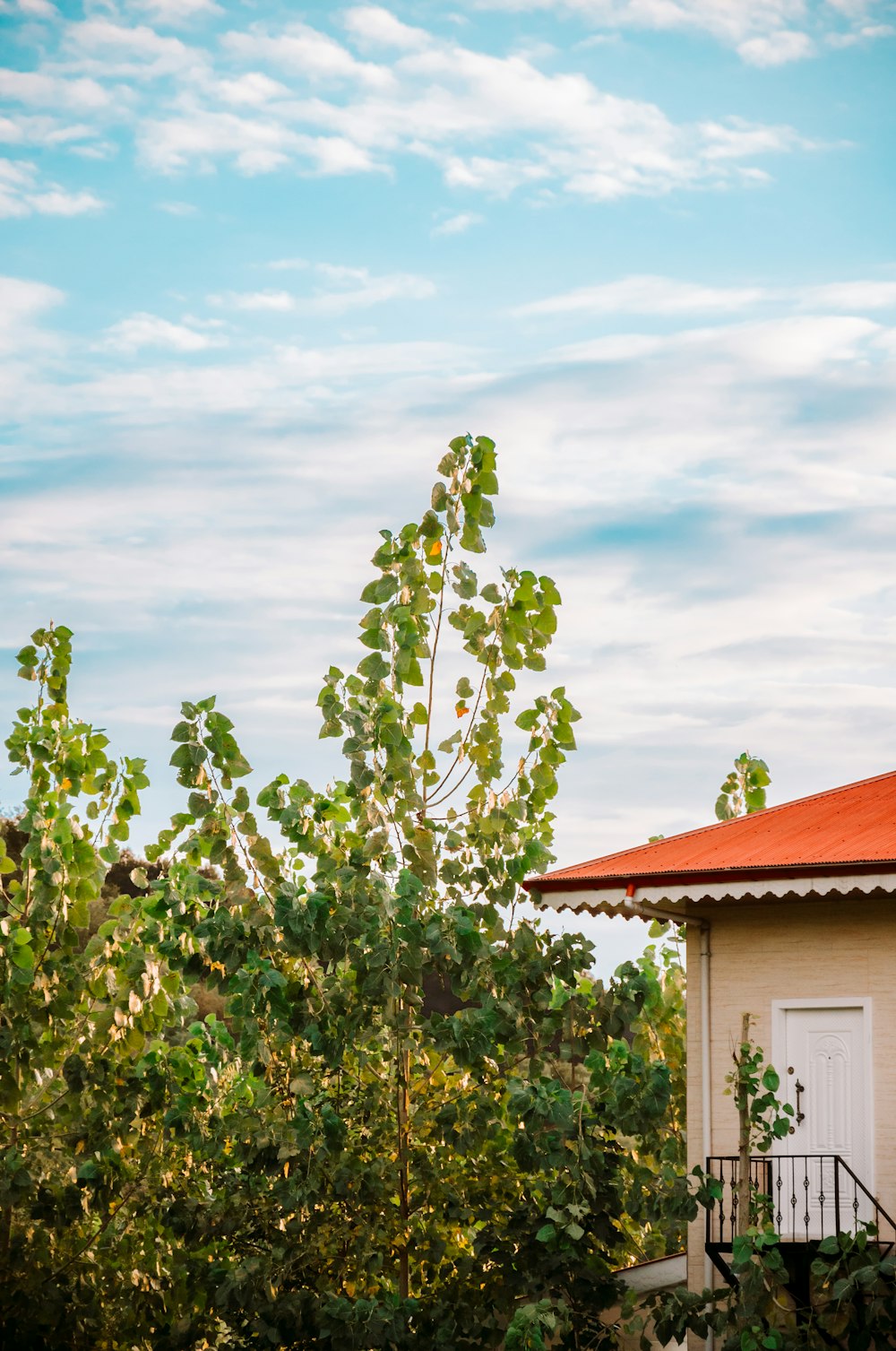 a house with a red roof and a white door