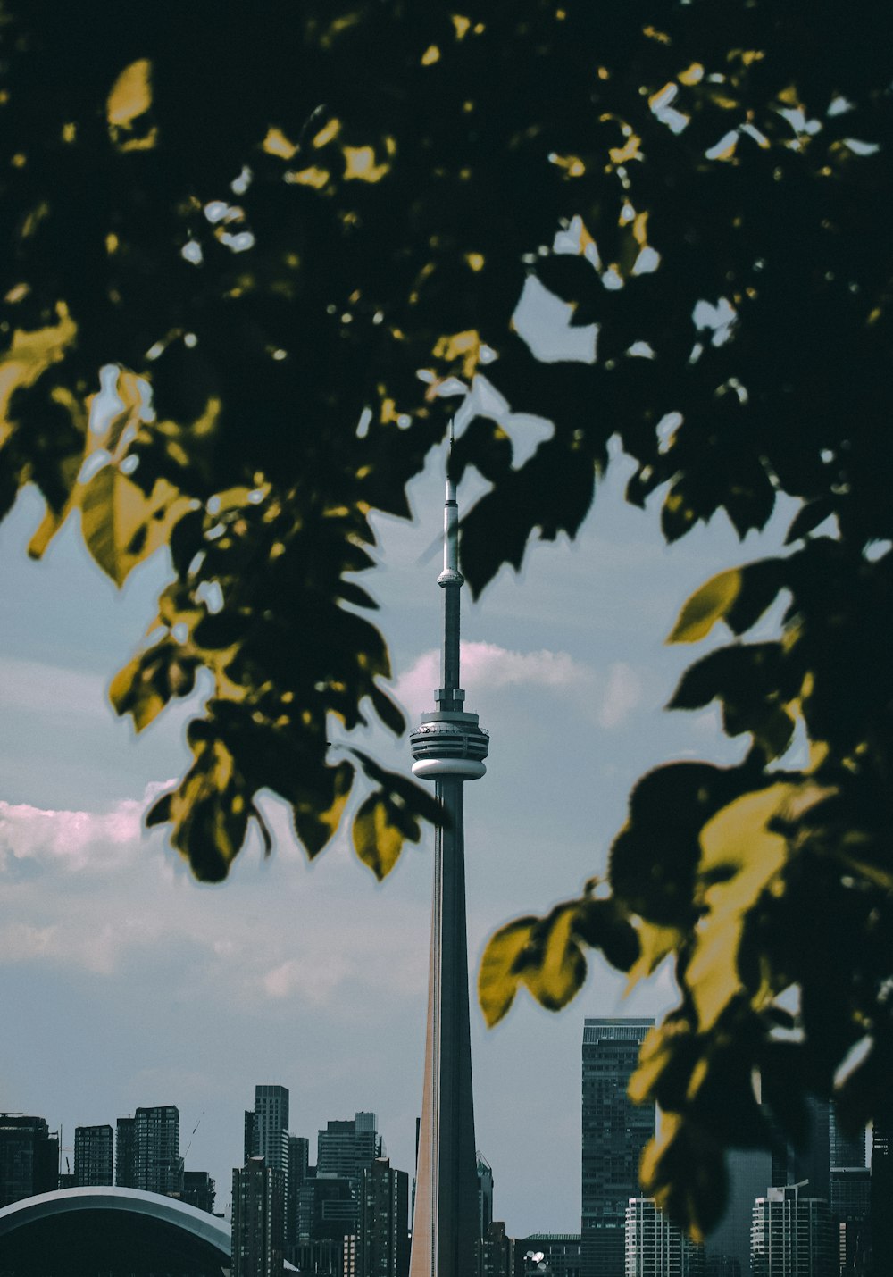 a view of a tall building with a sky scraper in the background